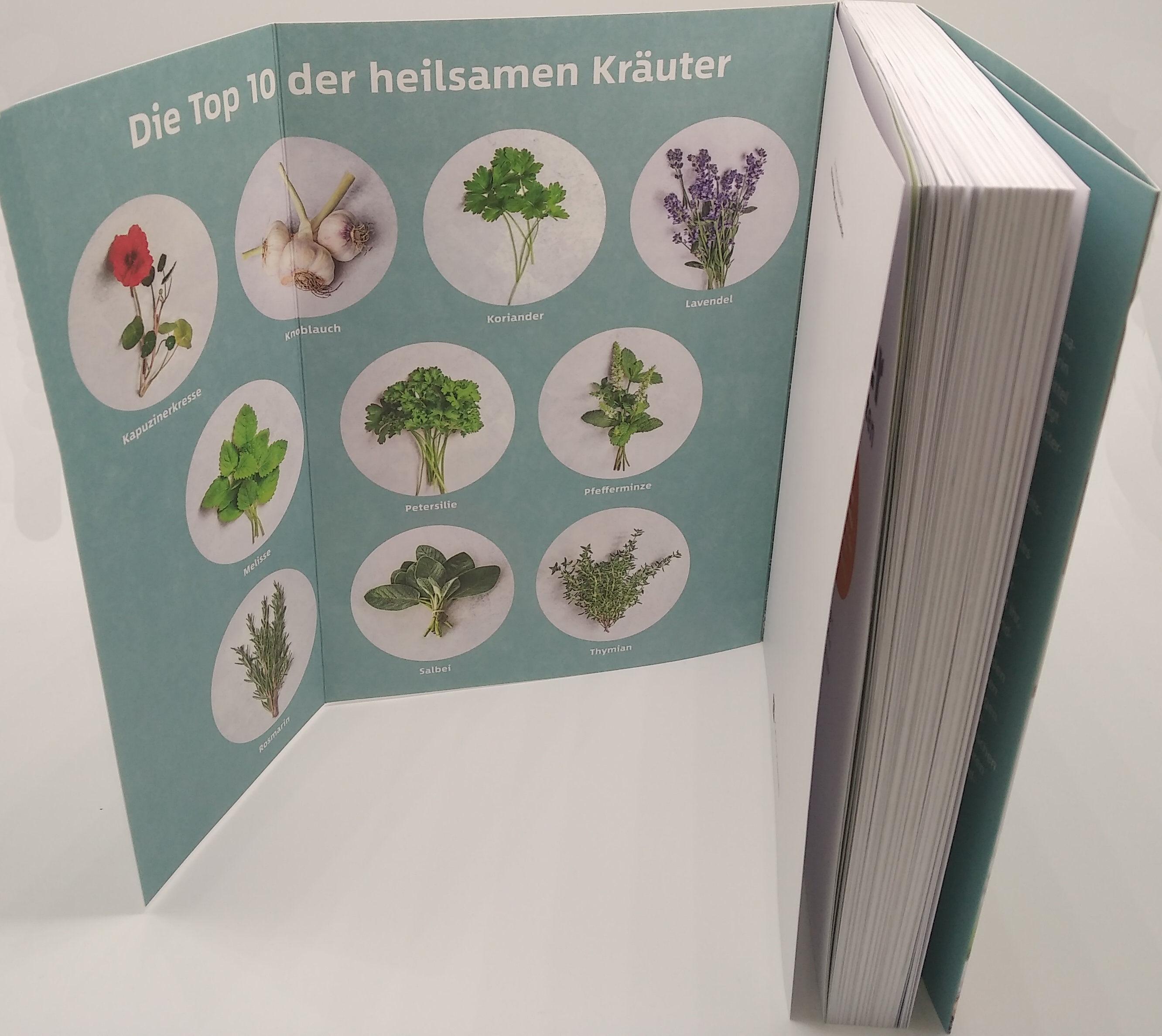 Beispielinhalt (Bild) 10 Kräuter gegen 100 Krankheiten