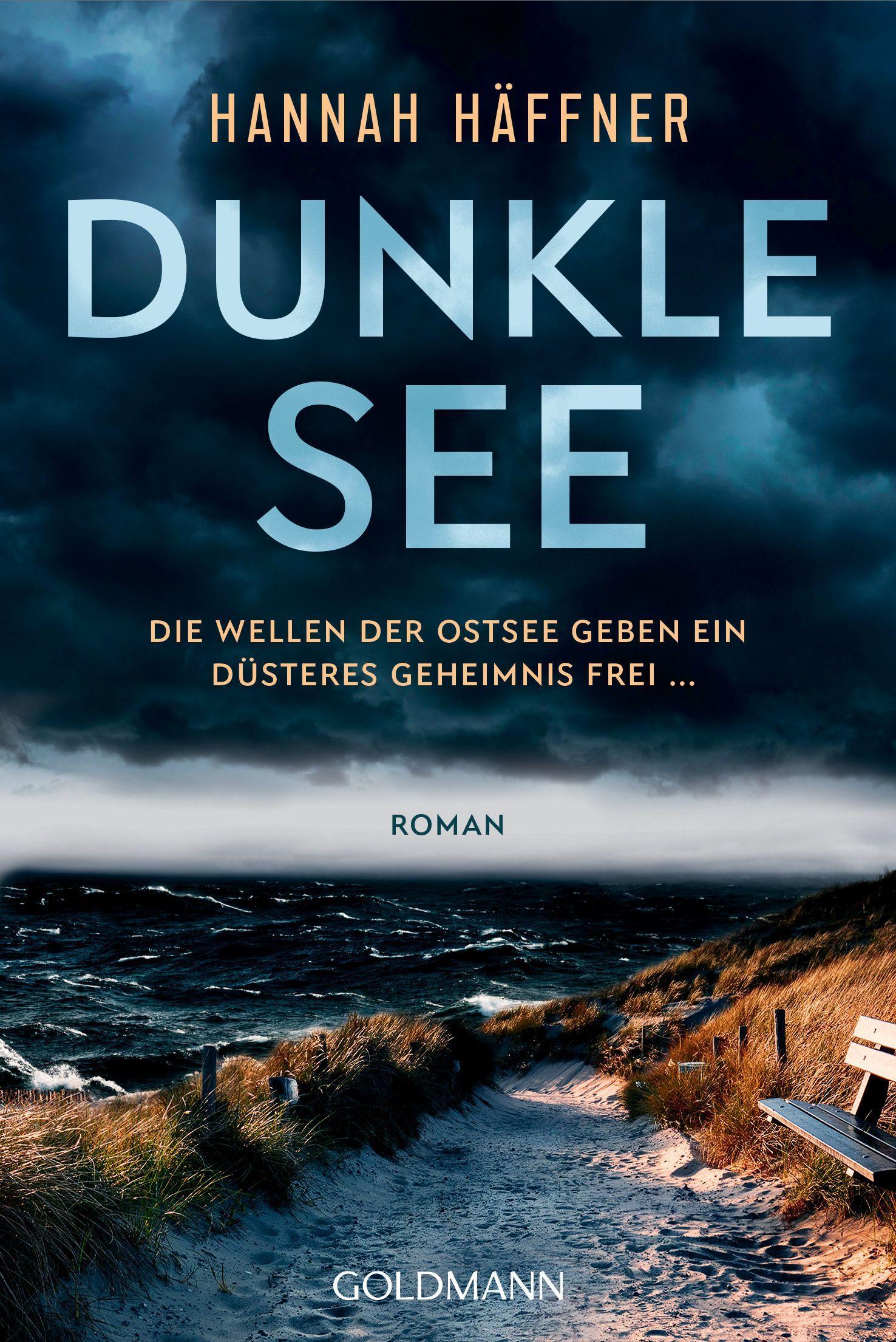 Vorderes Coverbild Dunkle See