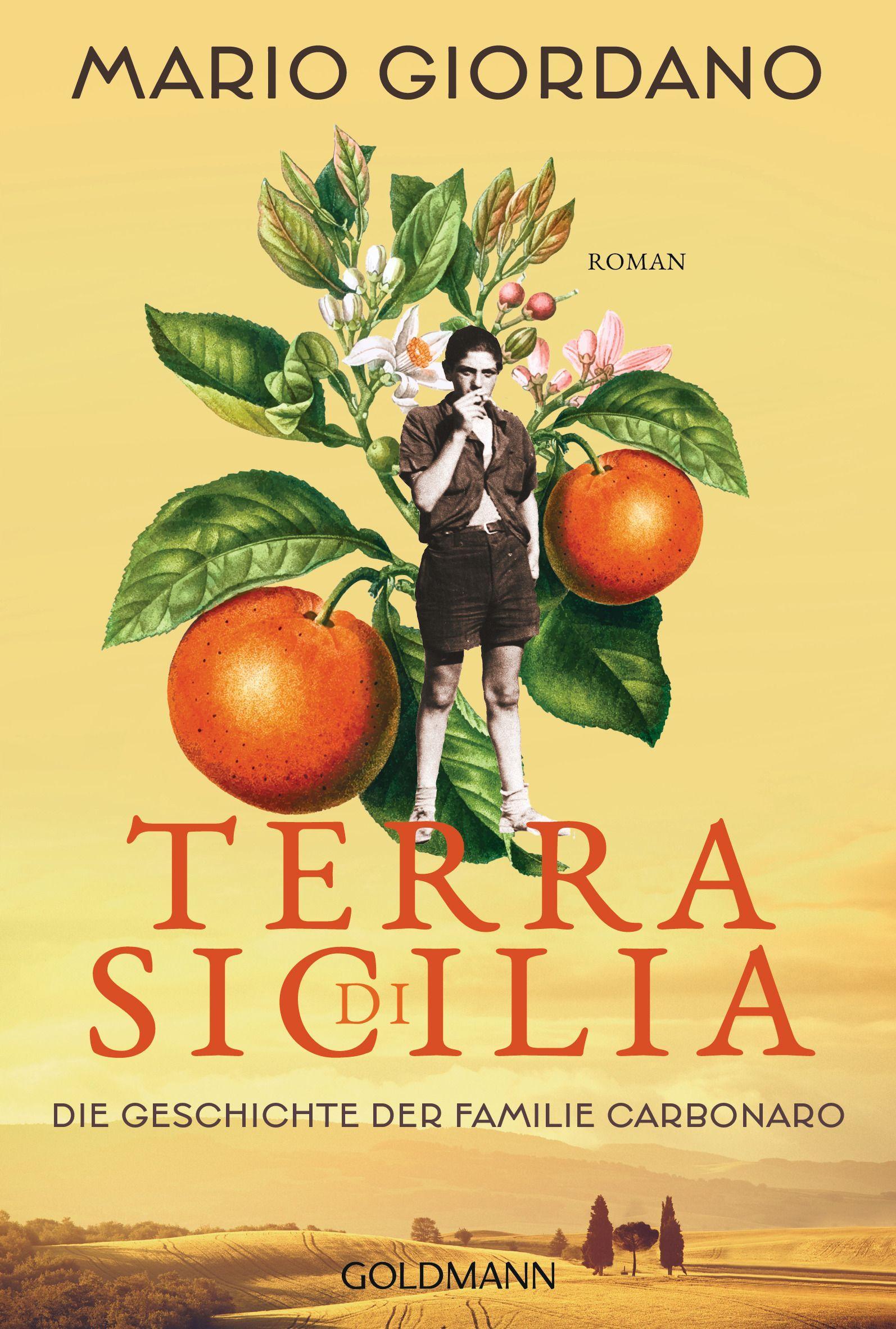 Vorderes Coverbild Terra di Sicilia. Die Geschichte der Familie Carbonaro