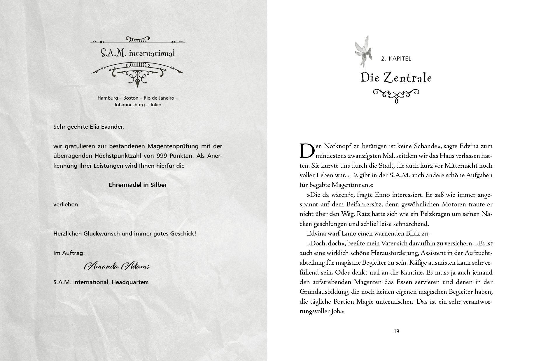 Beispielinhalt (Bild) Magic Agents - In Dublin sind die Feen los!