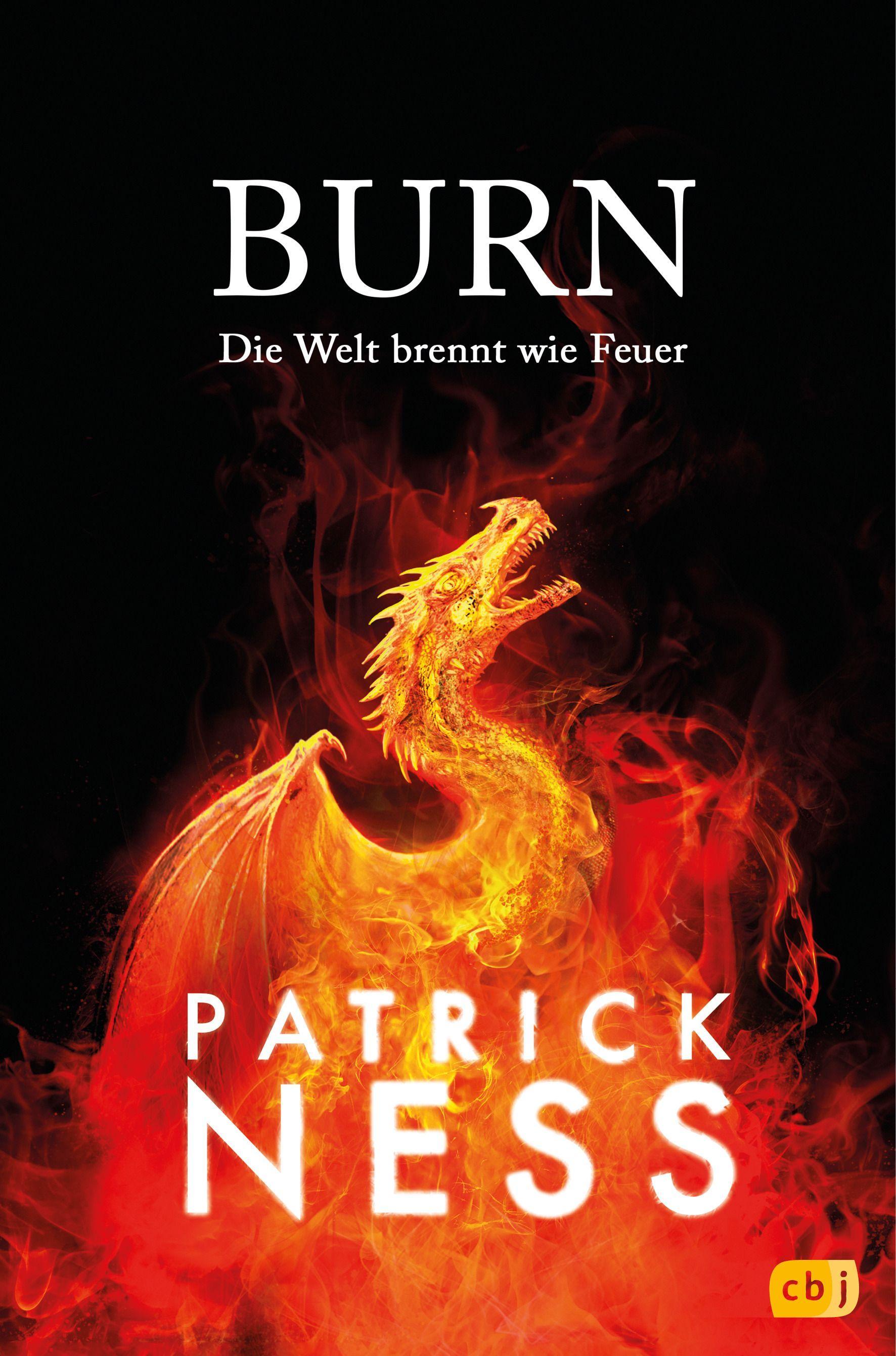 Vorderes Coverbild Burn - Die Welt brennt wie Feuer