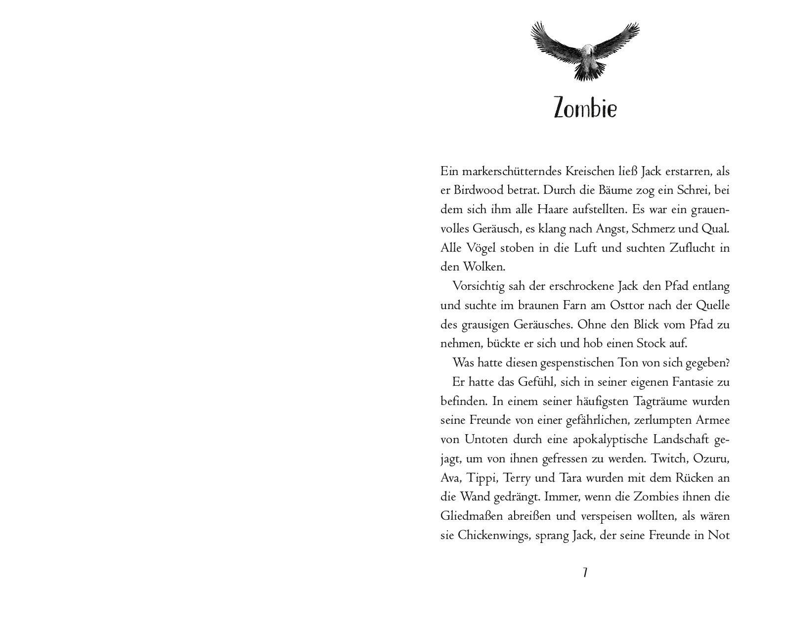 Beispielinhalt (Bild) Die Geheimnisse von Birdwood - Die Rettung