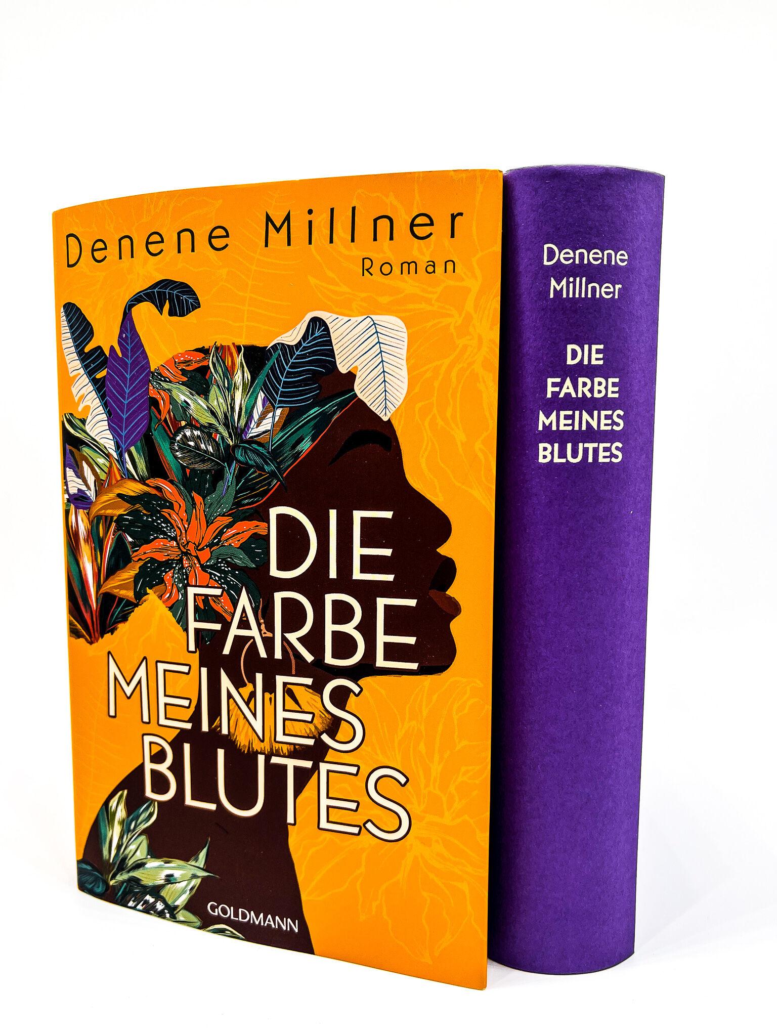 Beispielinhalt (Bild) Die Farbe meines Blutes