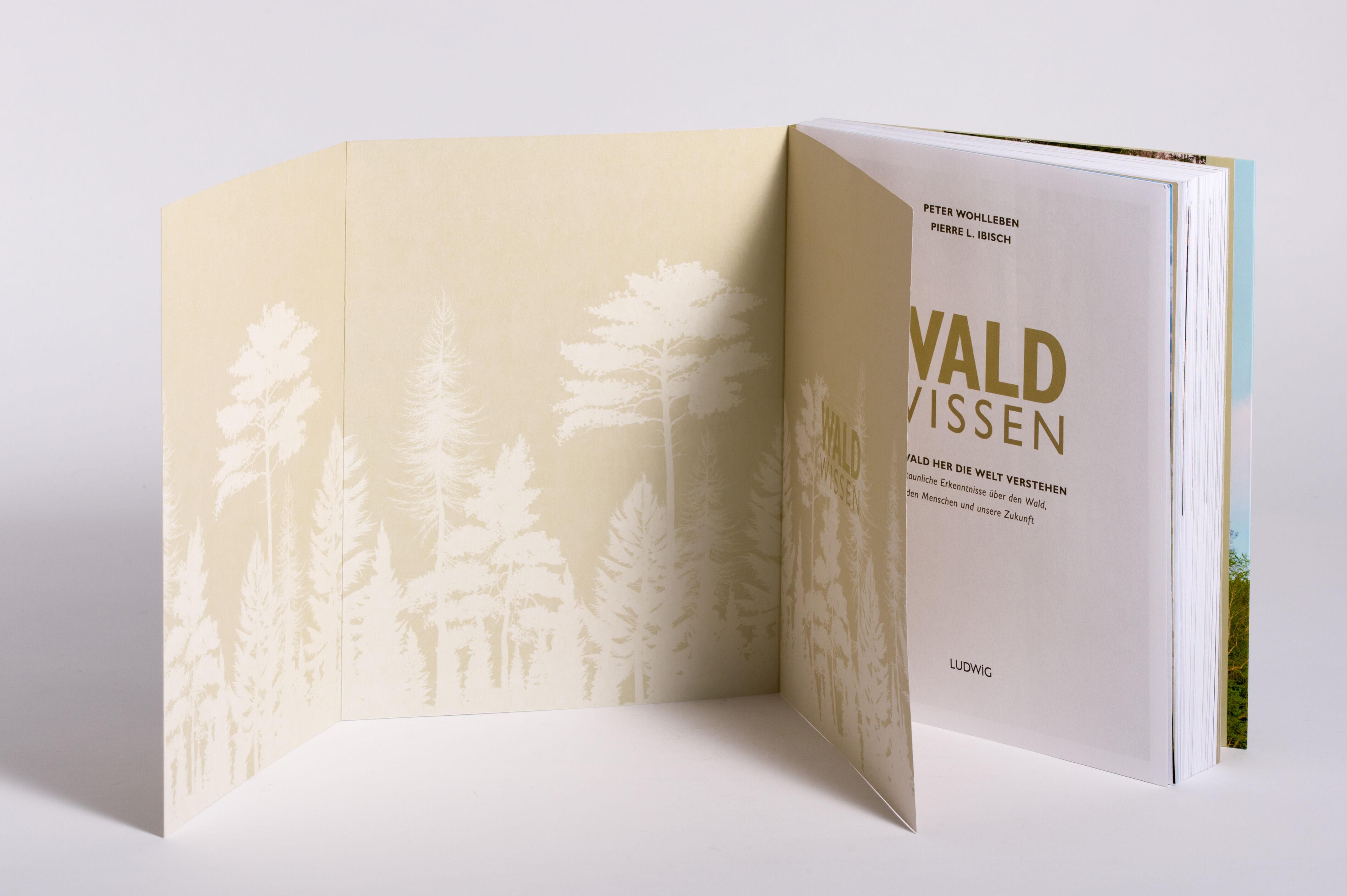 Beispielinhalt (Bild) Waldwissen