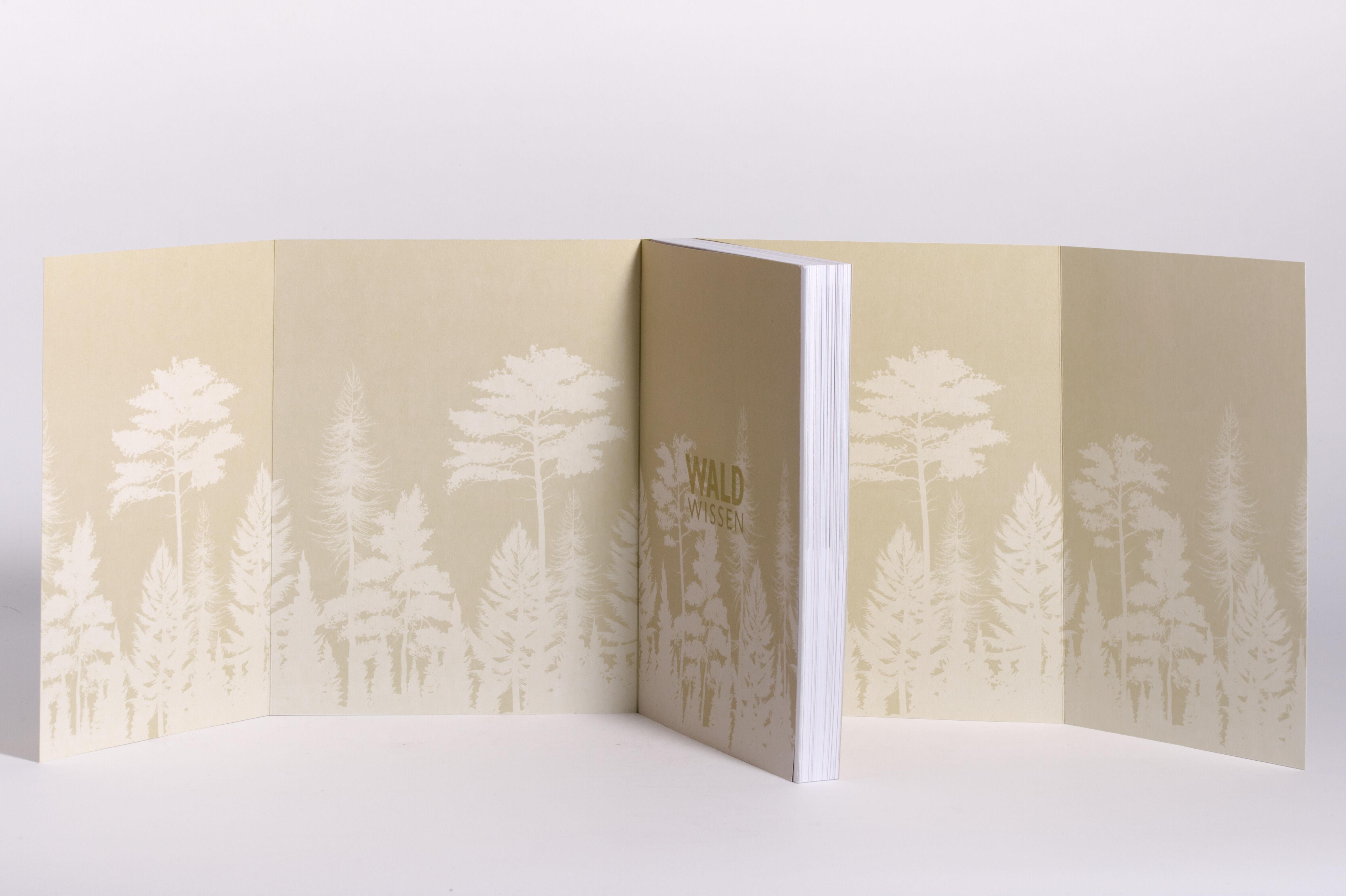 Beispielinhalt (Bild) Waldwissen