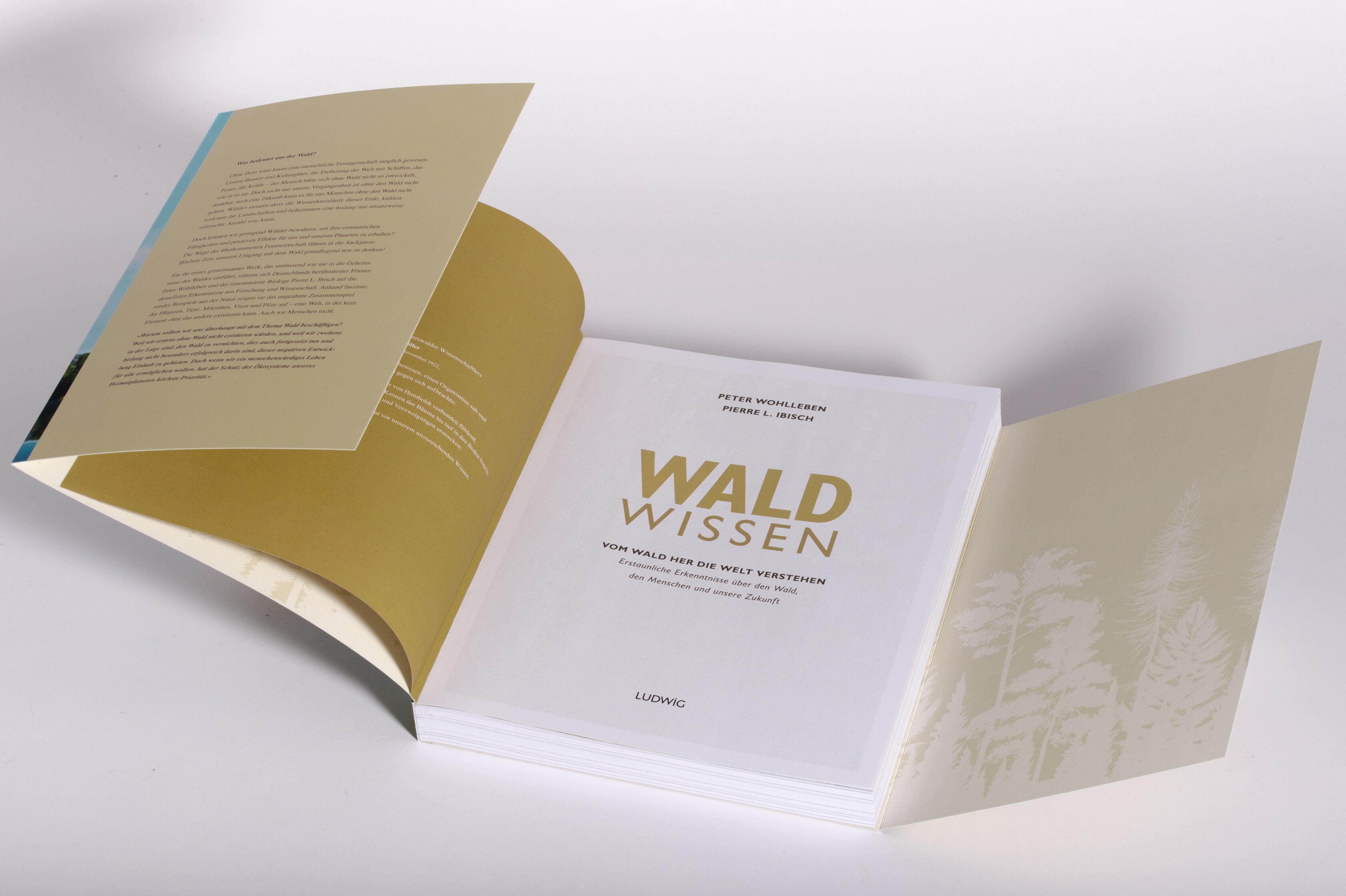 Beispielinhalt (Bild) Waldwissen