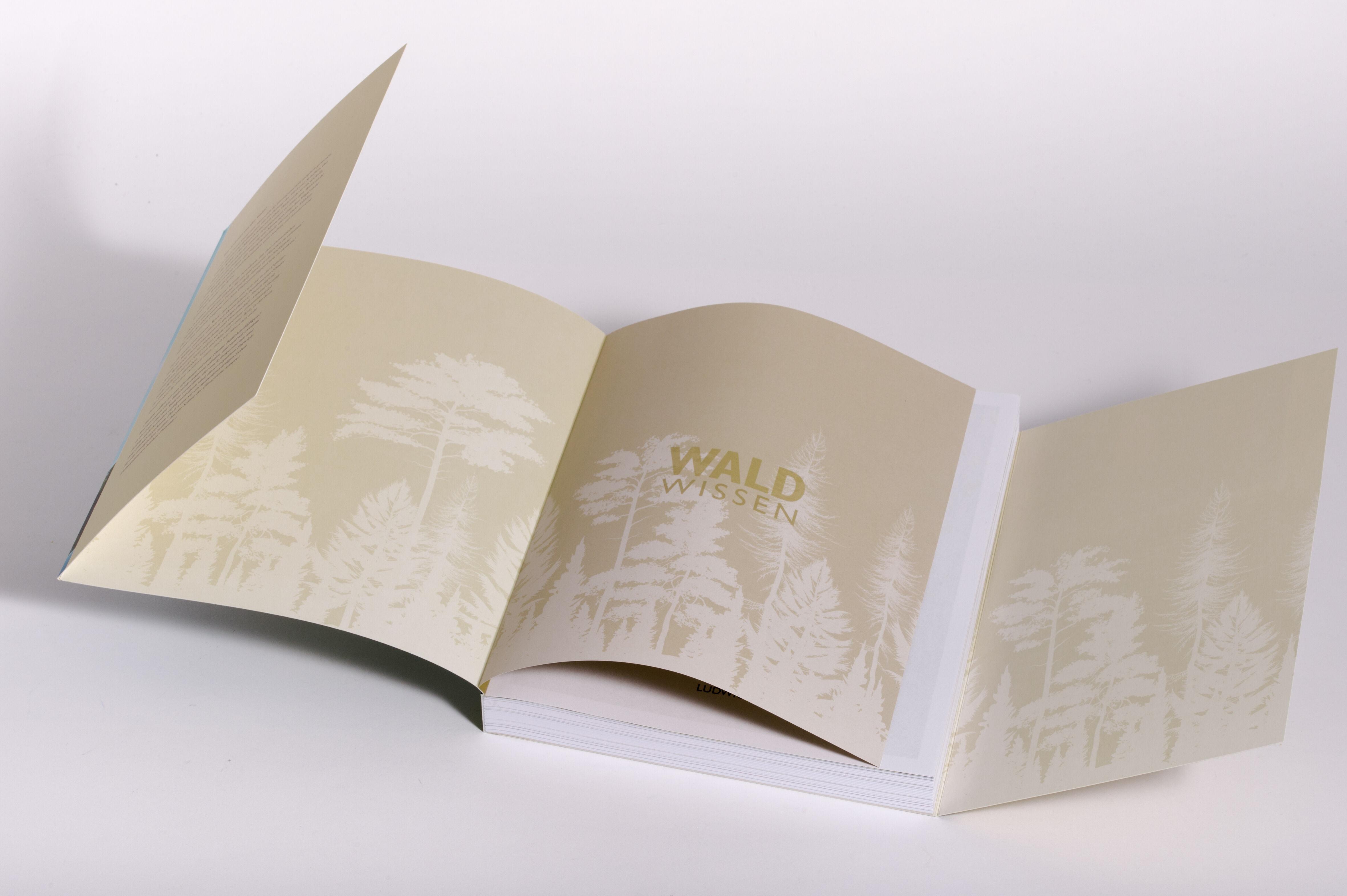 Beispielinhalt (Bild) Waldwissen