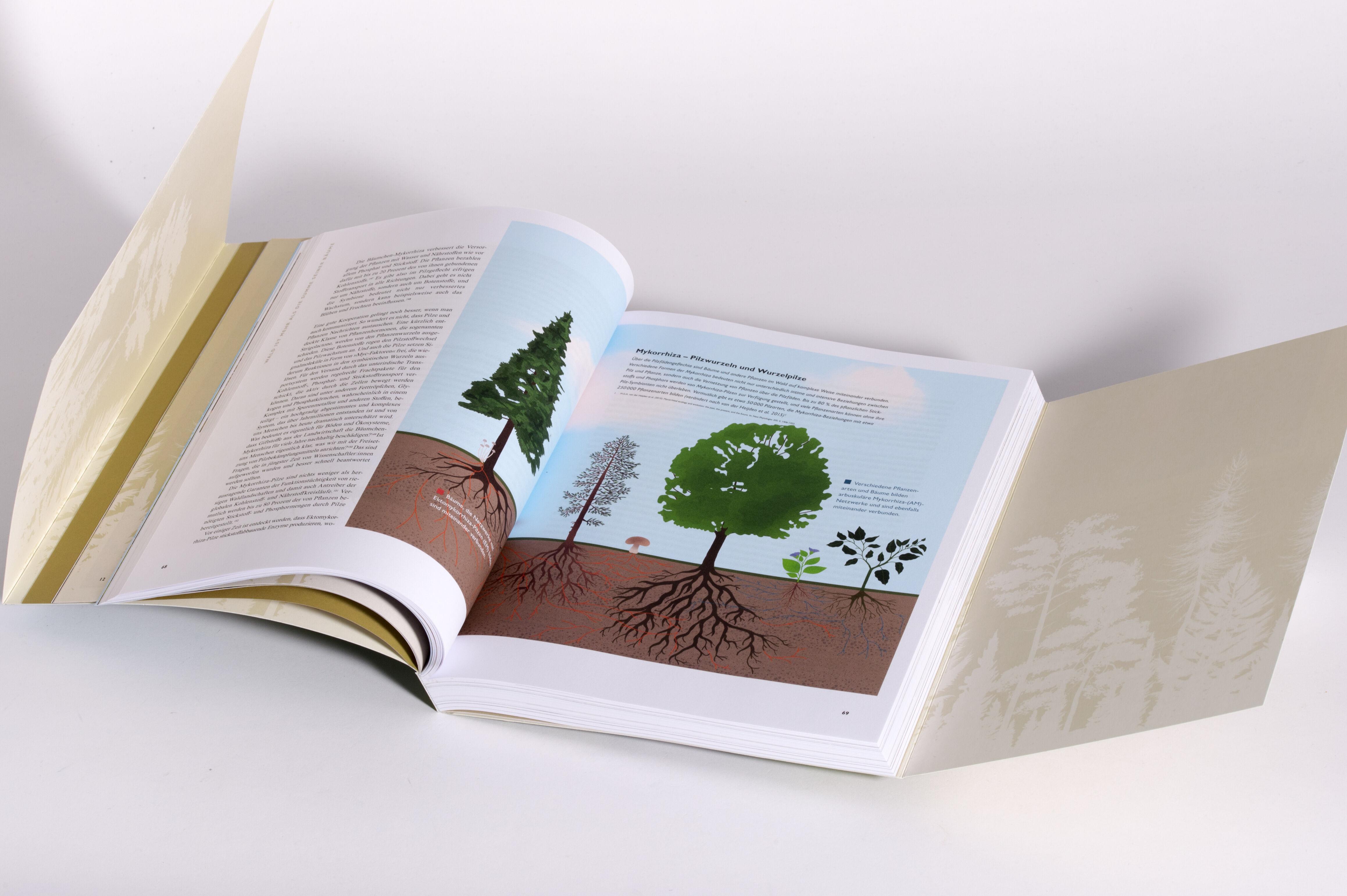 Beispielinhalt (Bild) Waldwissen