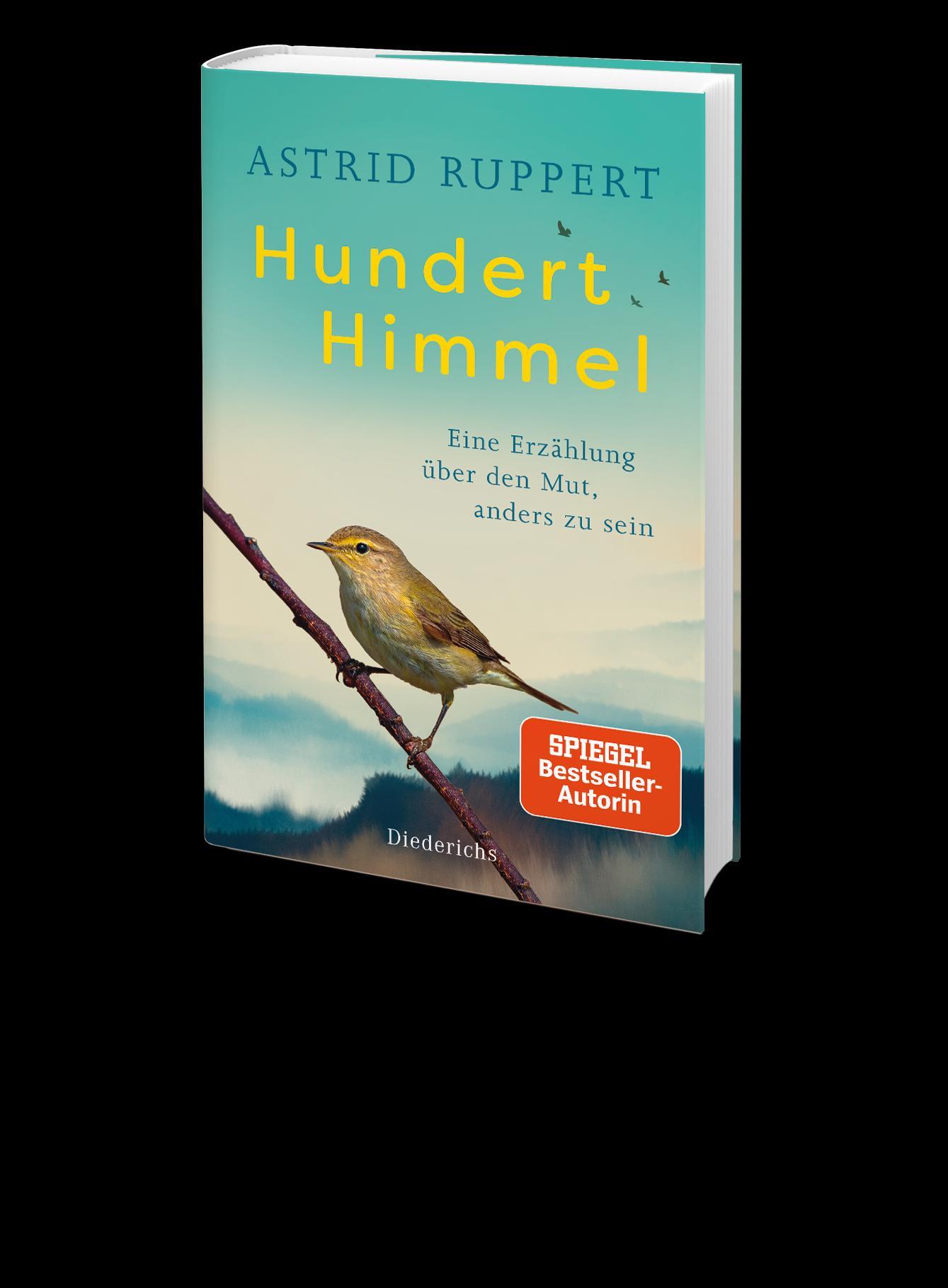 Beispielinhalt (Bild) Hundert Himmel