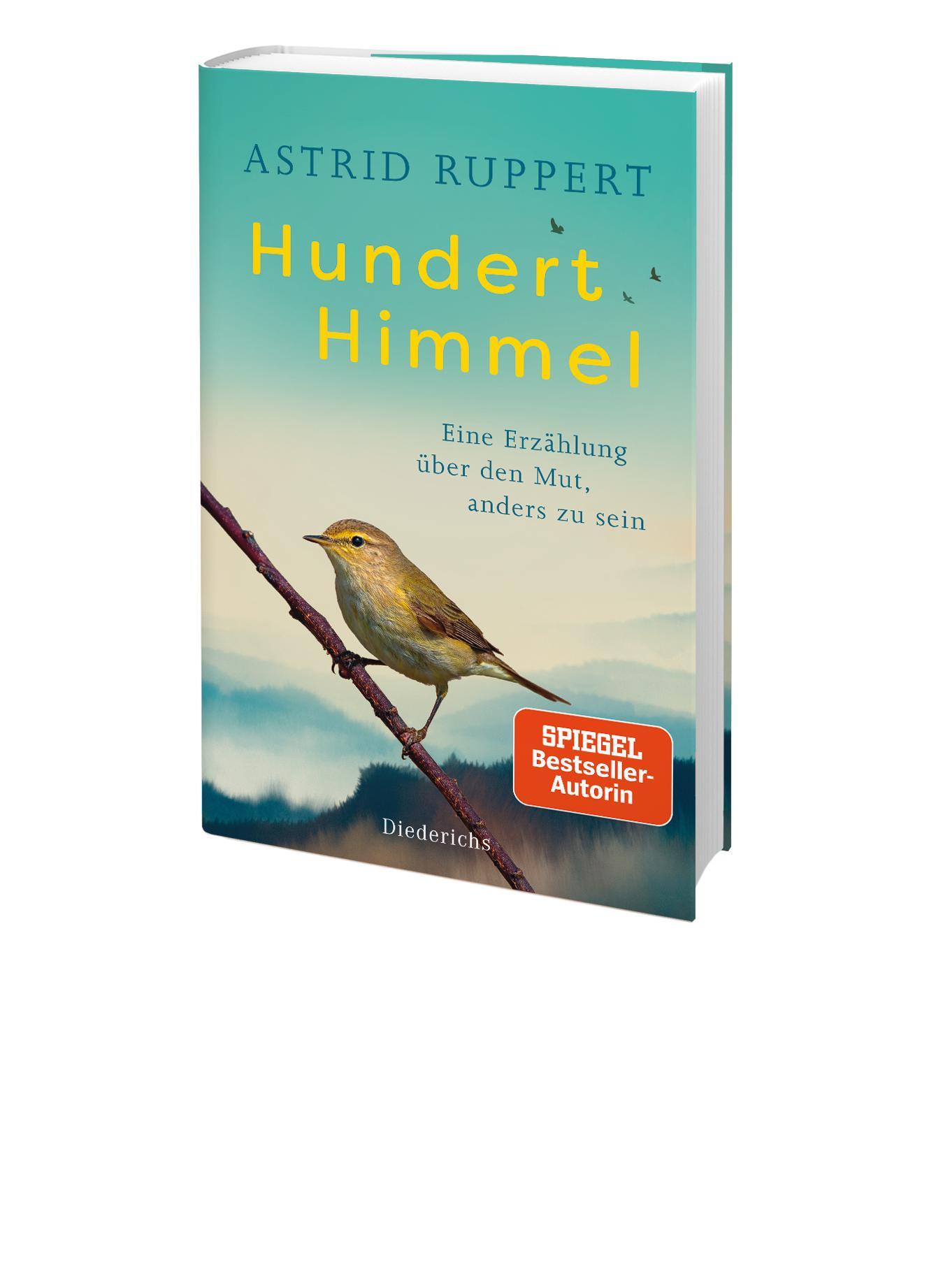 Beispielinhalt (Bild) Hundert Himmel