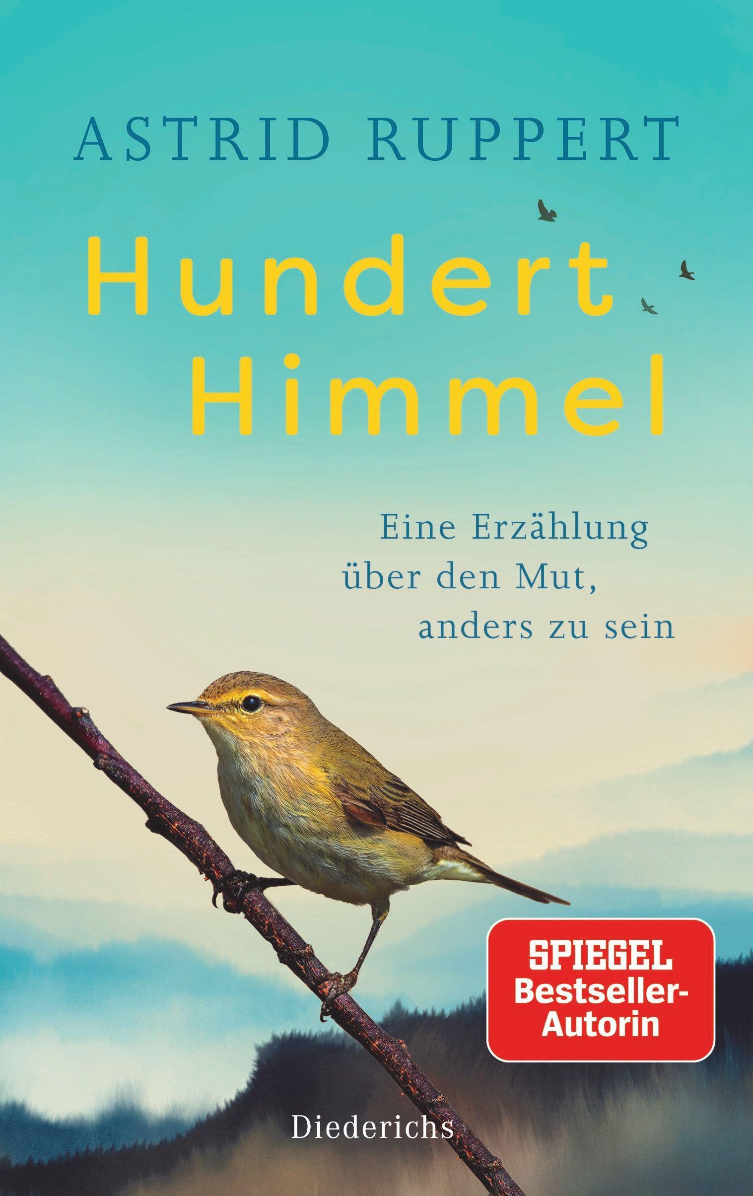 Vorderes Coverbild Hundert Himmel