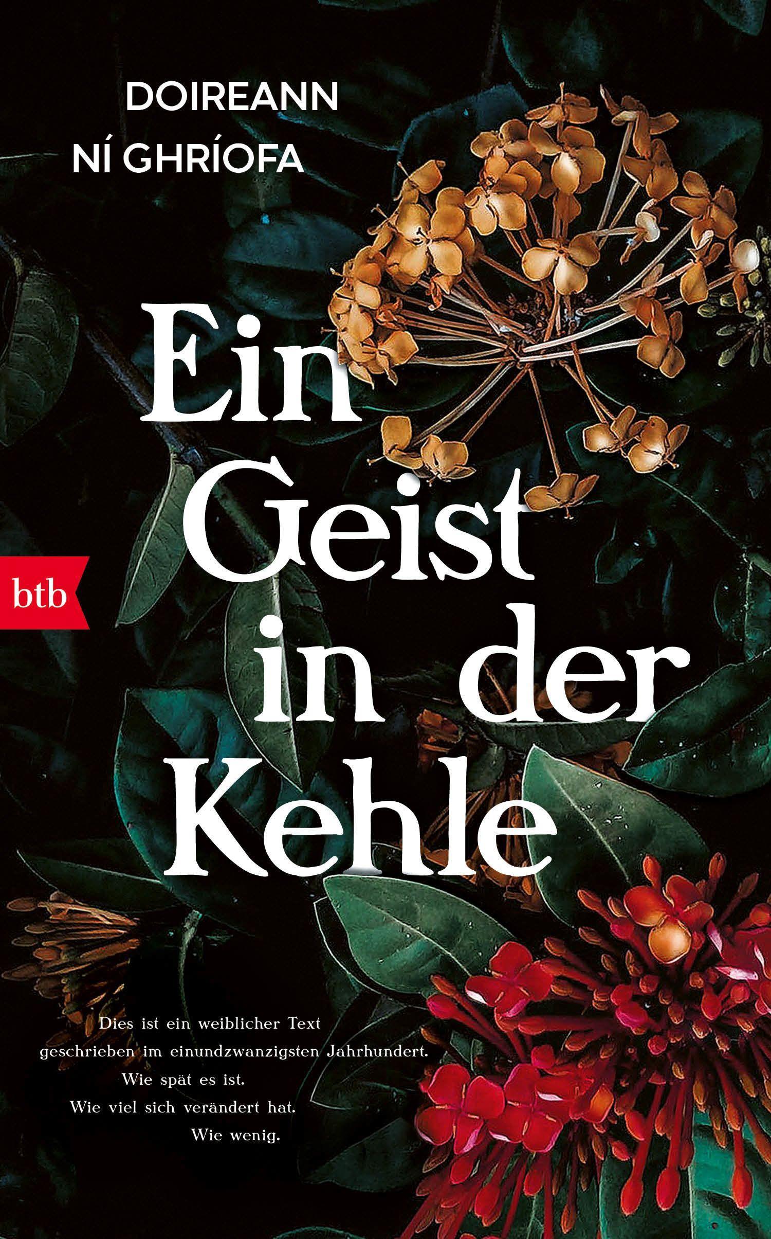 Vorderes Coverbild Ein Geist in der Kehle