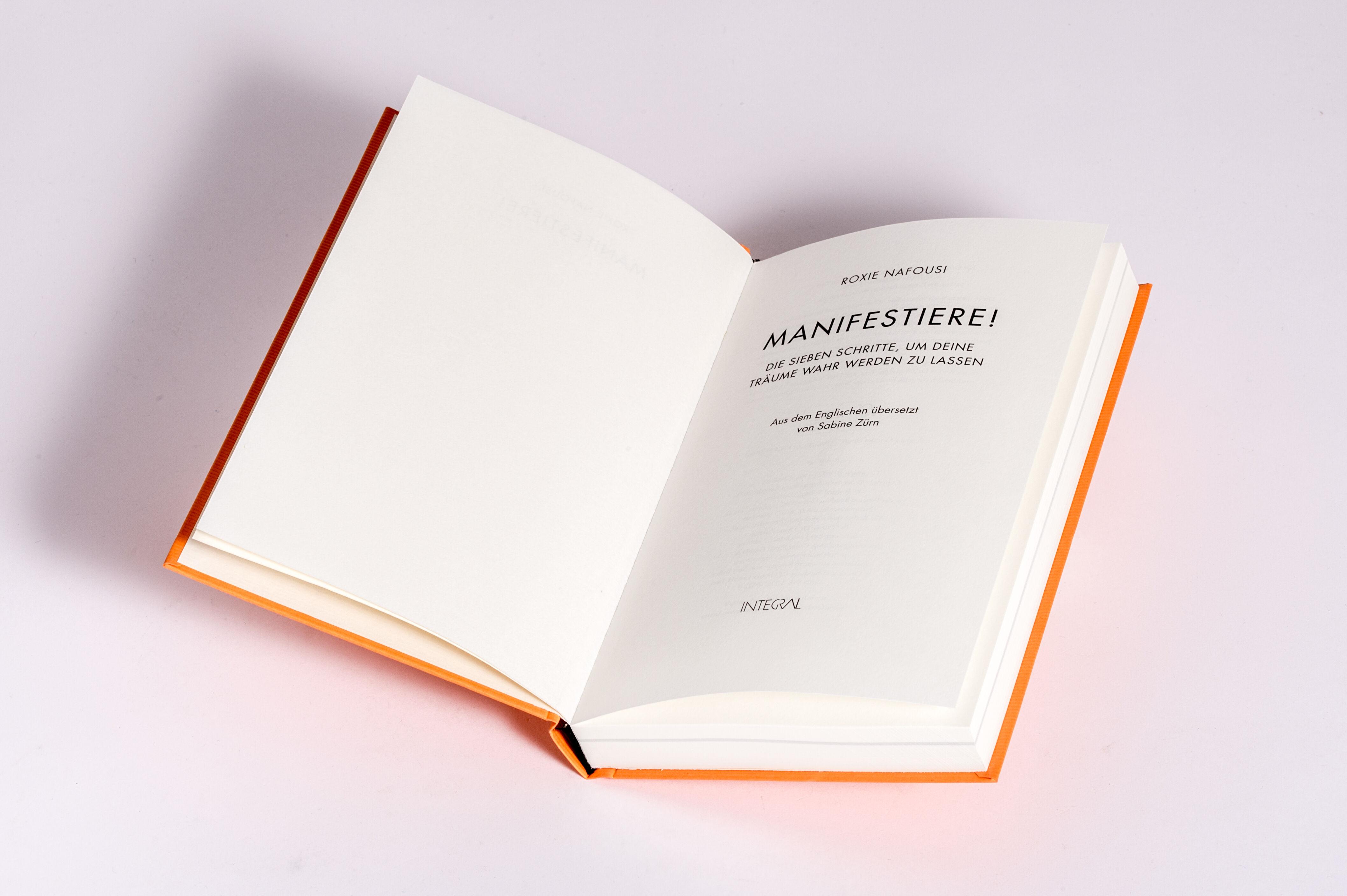 Beispielinhalt (Bild) Manifestiere!