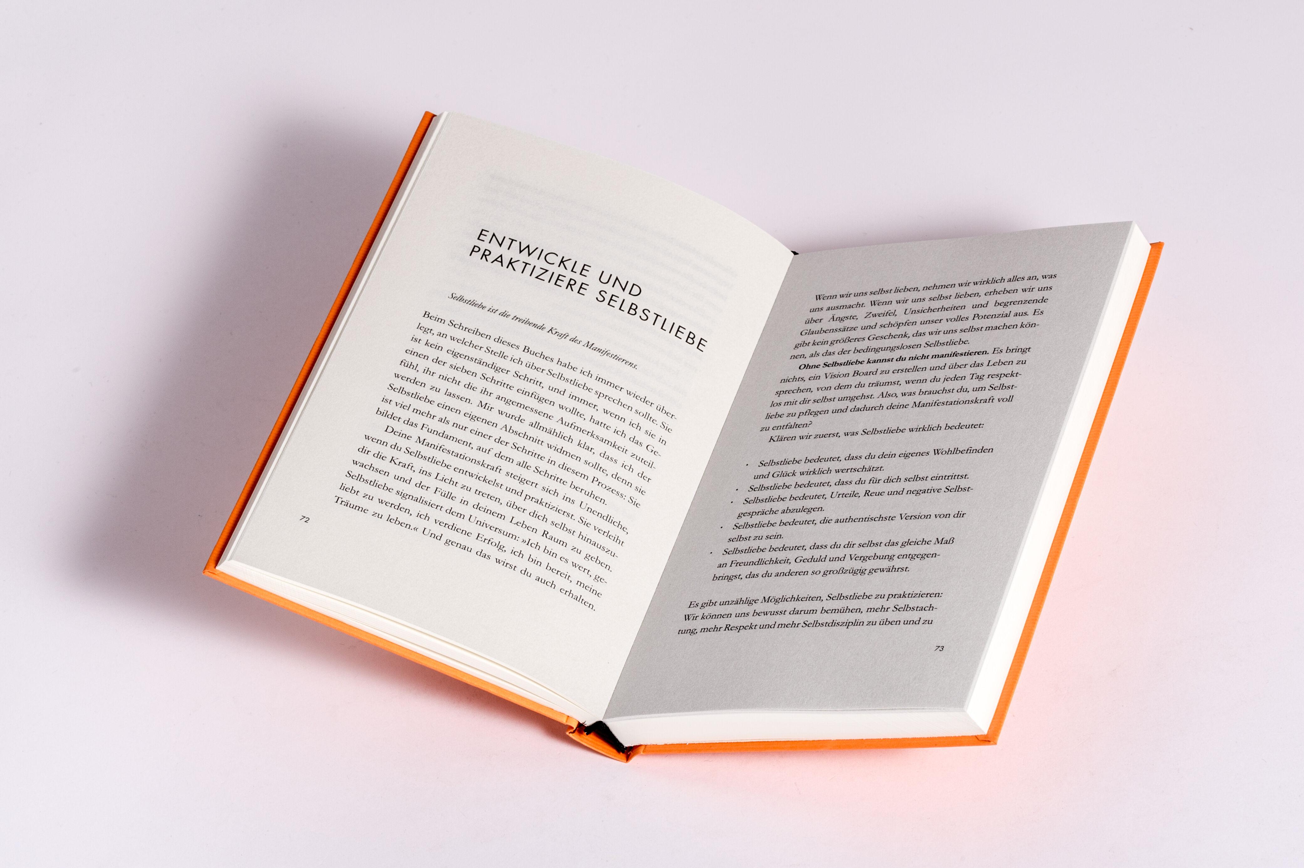 Beispielinhalt (Bild) Manifestiere!