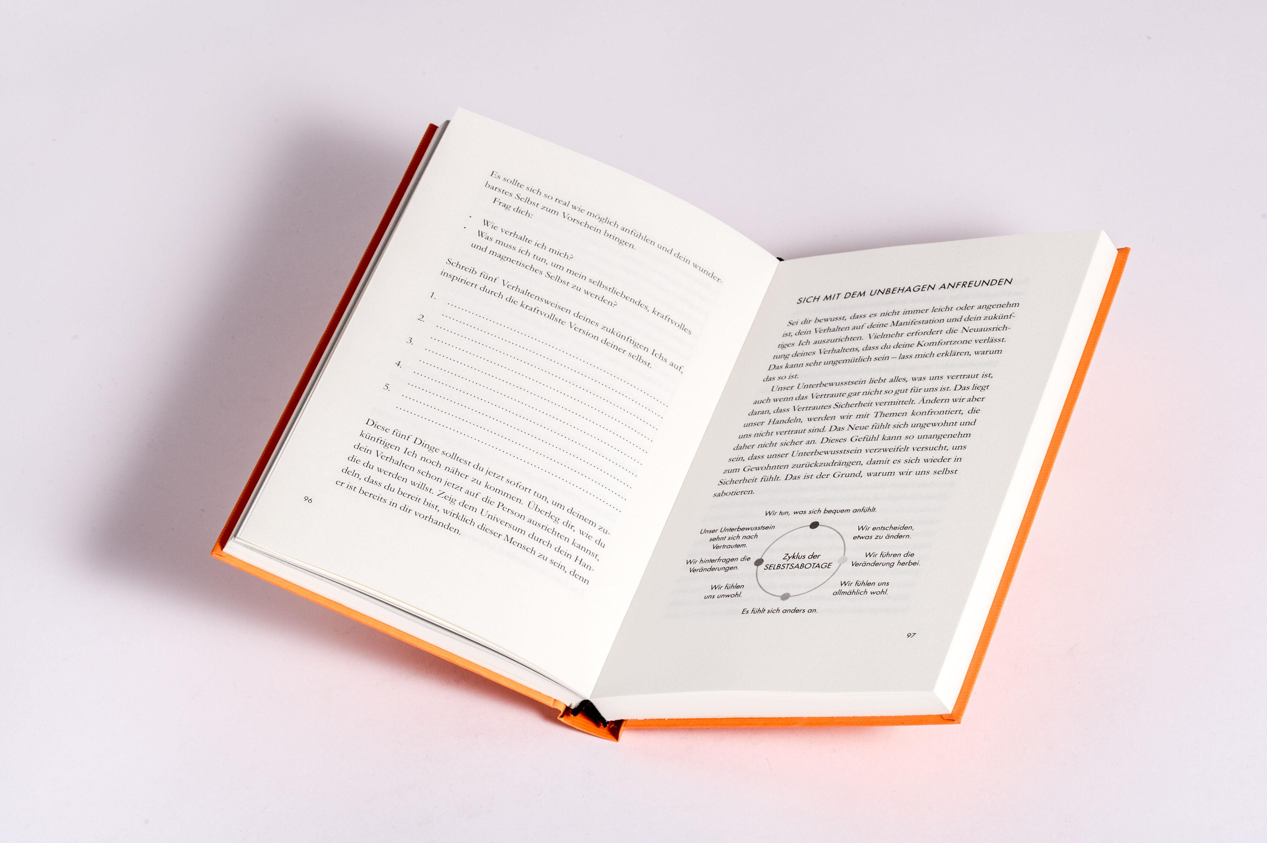 Beispielinhalt (Bild) Manifestiere!