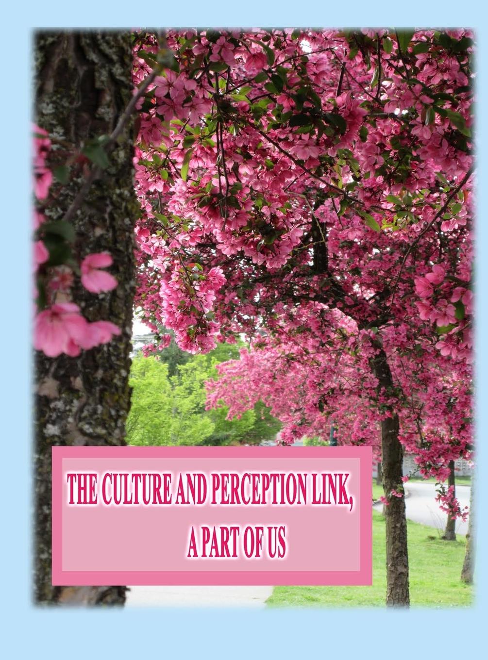 Vorderes Coverbild The Culture and Perception Link