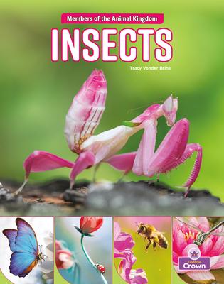 Vorderes Coverbild Insects