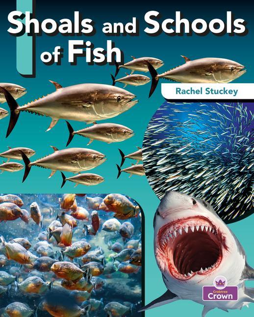 Vorderes Coverbild Shoals and Schools of Fish