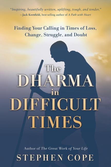 Vorderes Coverbild The Dharma in Difficult Times