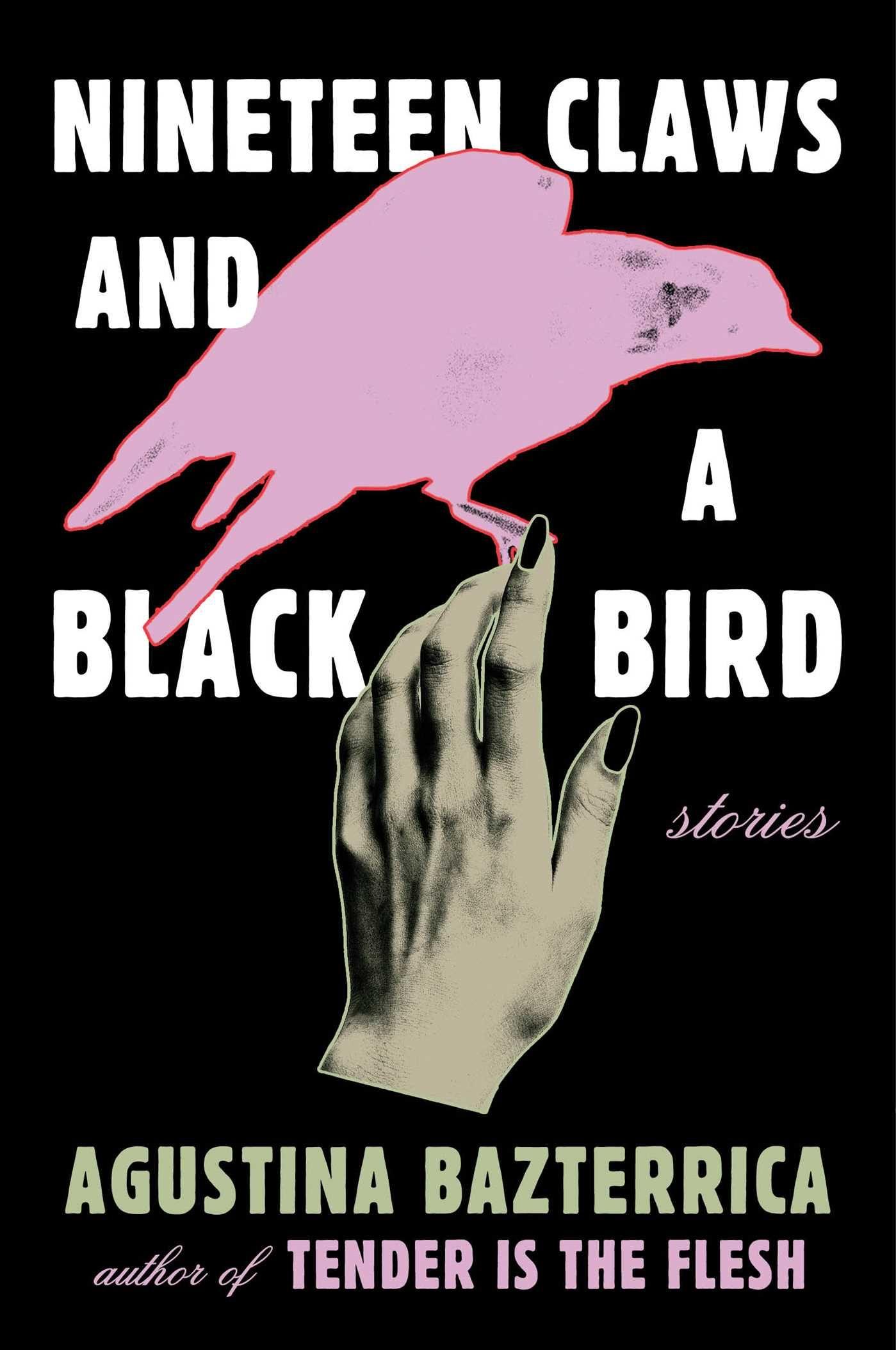 Vorderes Coverbild Nineteen Claws and a Black Bird