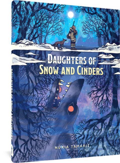 Vorderes Coverbild Daughters of Snow and Cinders