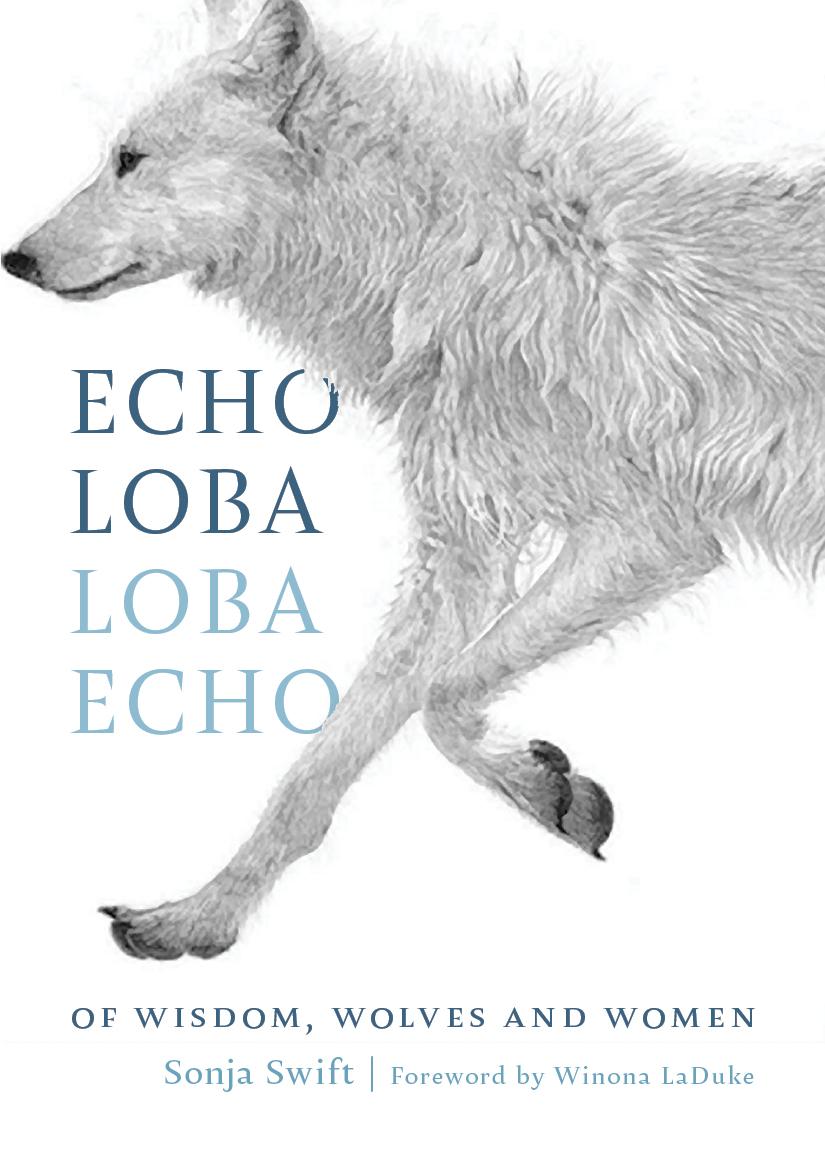 Vorderes Coverbild Echo Loba, Loba Echo