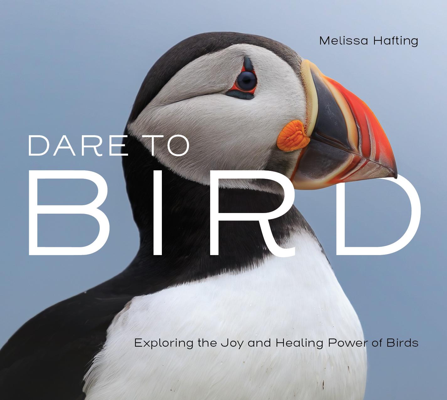 Vorderes Coverbild Dare to Bird