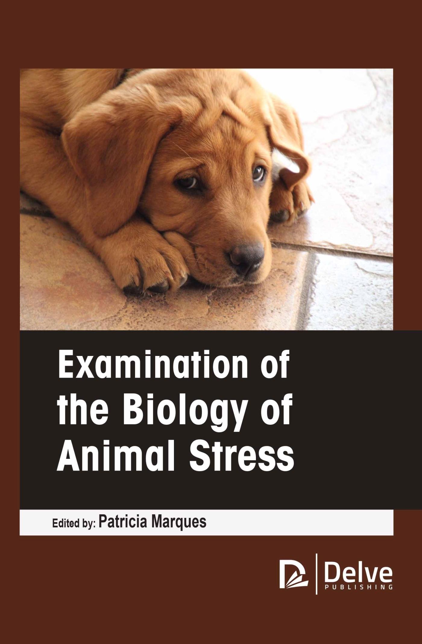 Vorderes Coverbild Examination of the Biology of Animal Stress