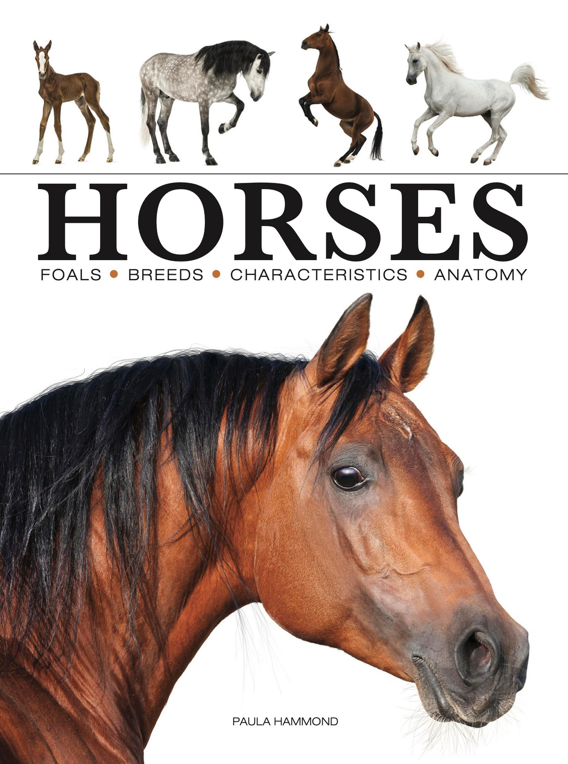 Vorderes Coverbild Horses