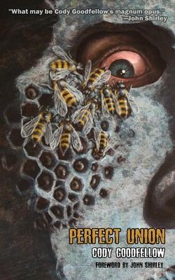 Vorderes Coverbild Perfect Union