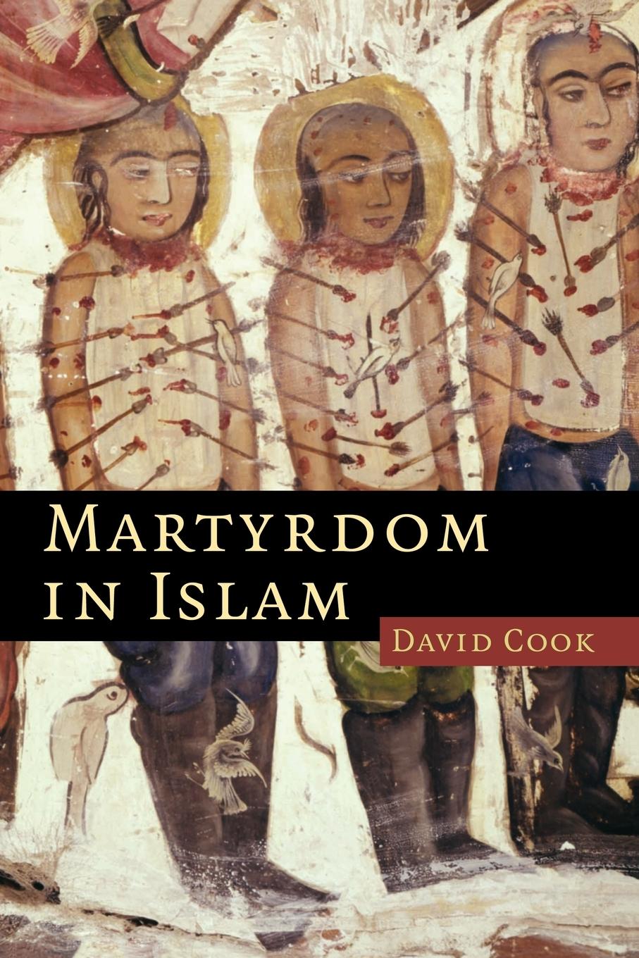 Vorderes Coverbild Martyrdom in Islam