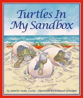 Vorderes Coverbild Turtles in My Sandbox