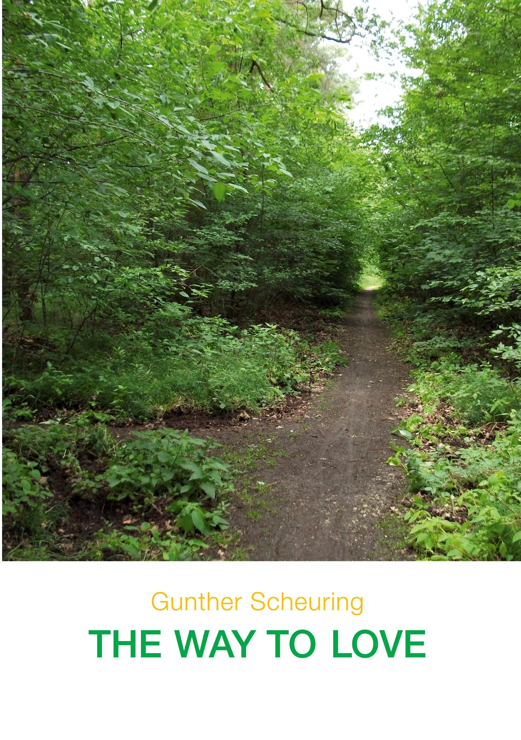 Vorderes Coverbild THE WAY TO LOVE