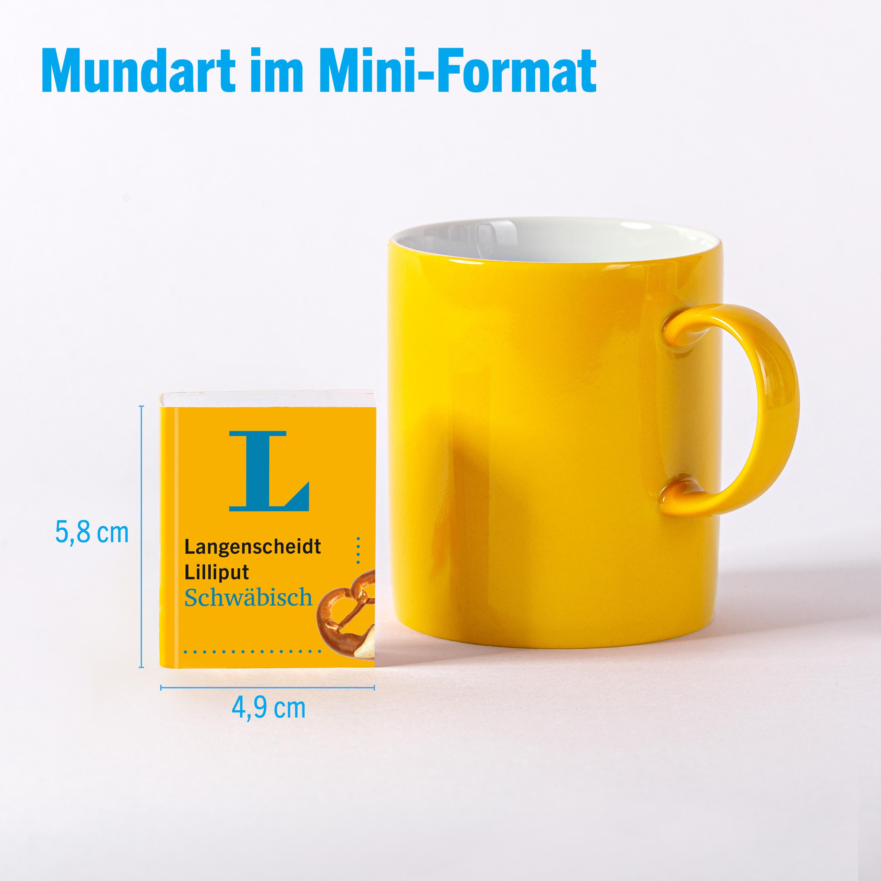 Beispielinhalt (Bild) Langenscheidt Lilliput Schwäbisch