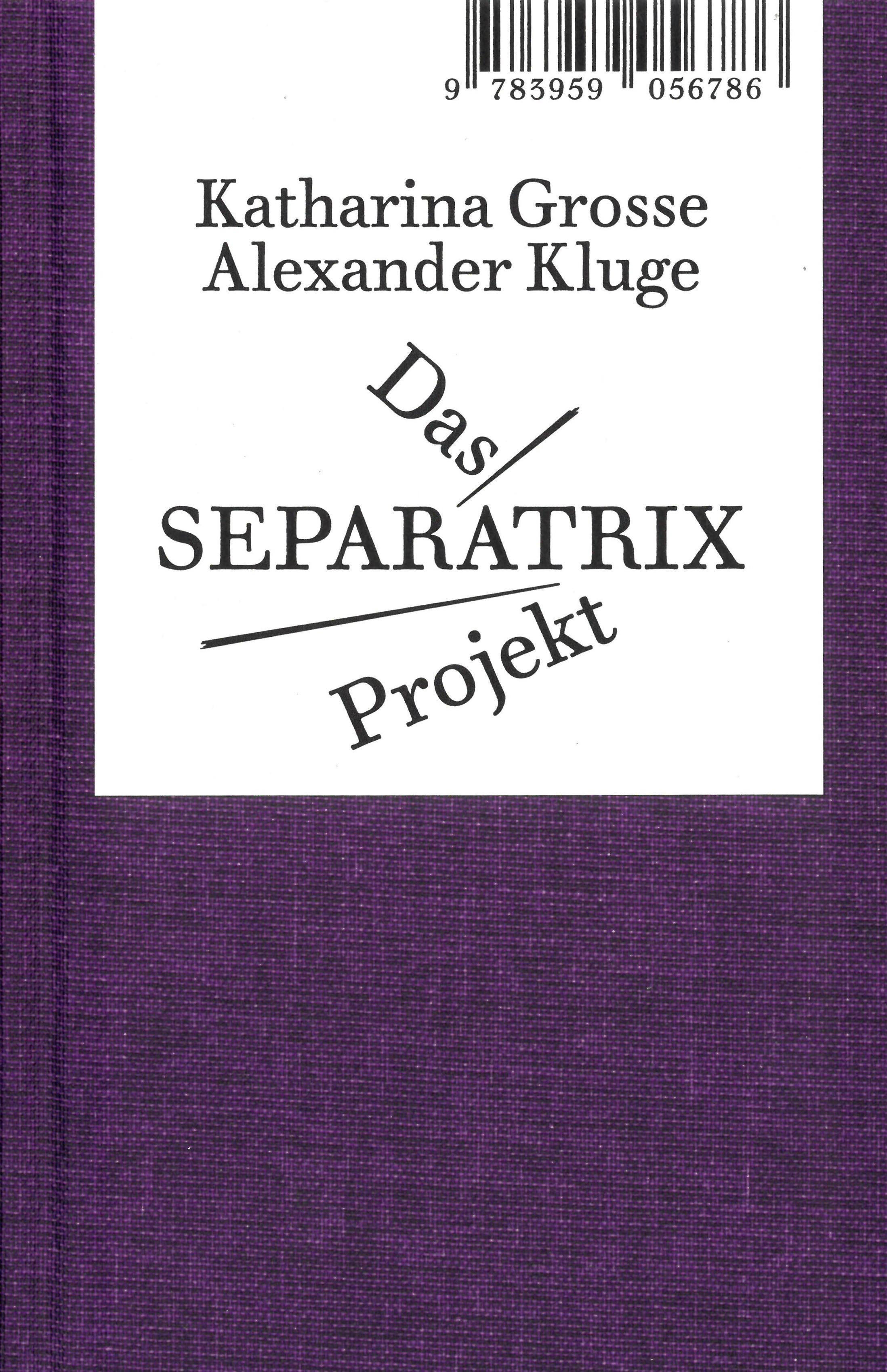 Vorderes Coverbild Das Separatrix Projekt