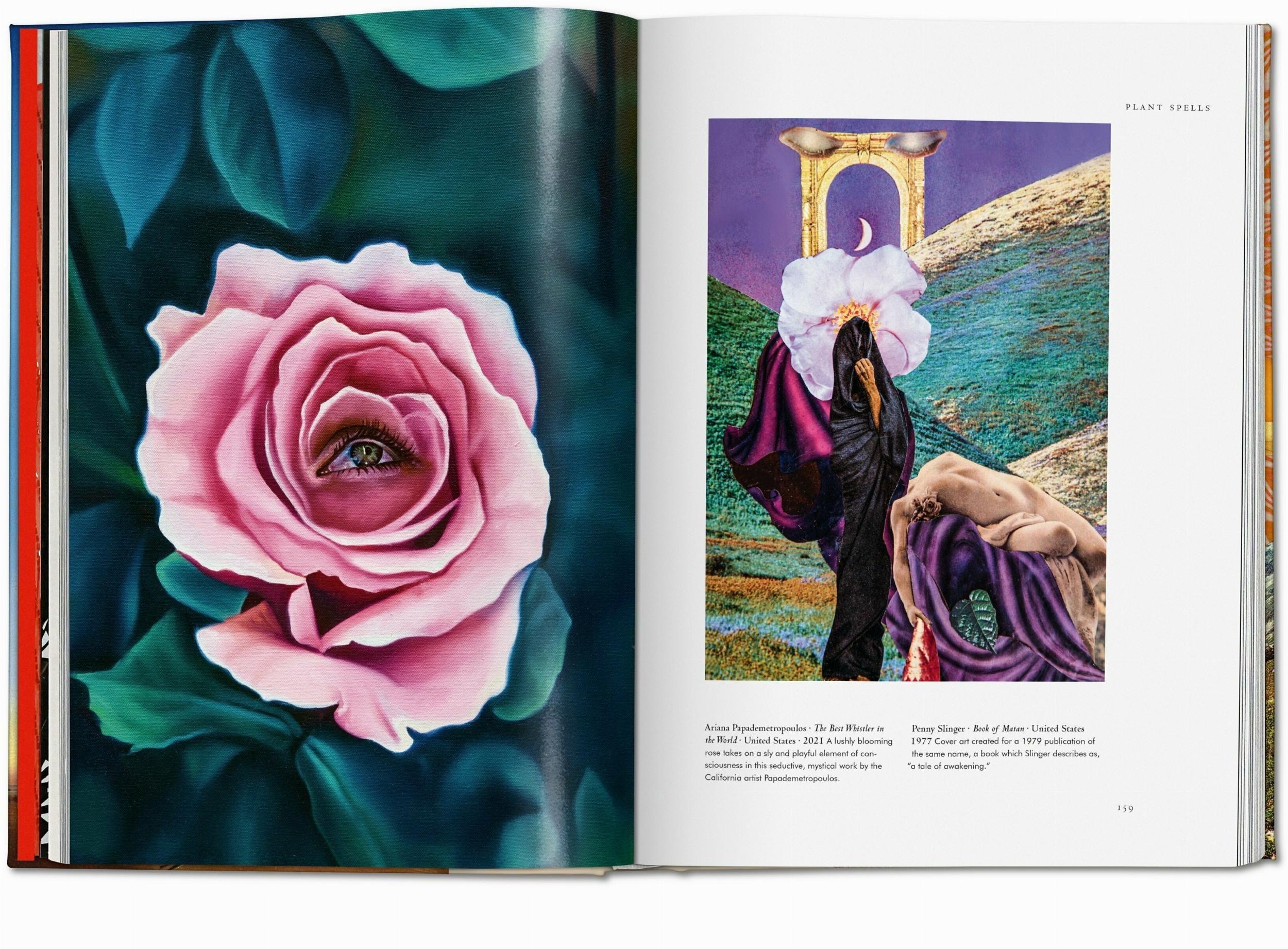 Beispielinhalt (Bild) Plant Magick. The Library of Esoterica