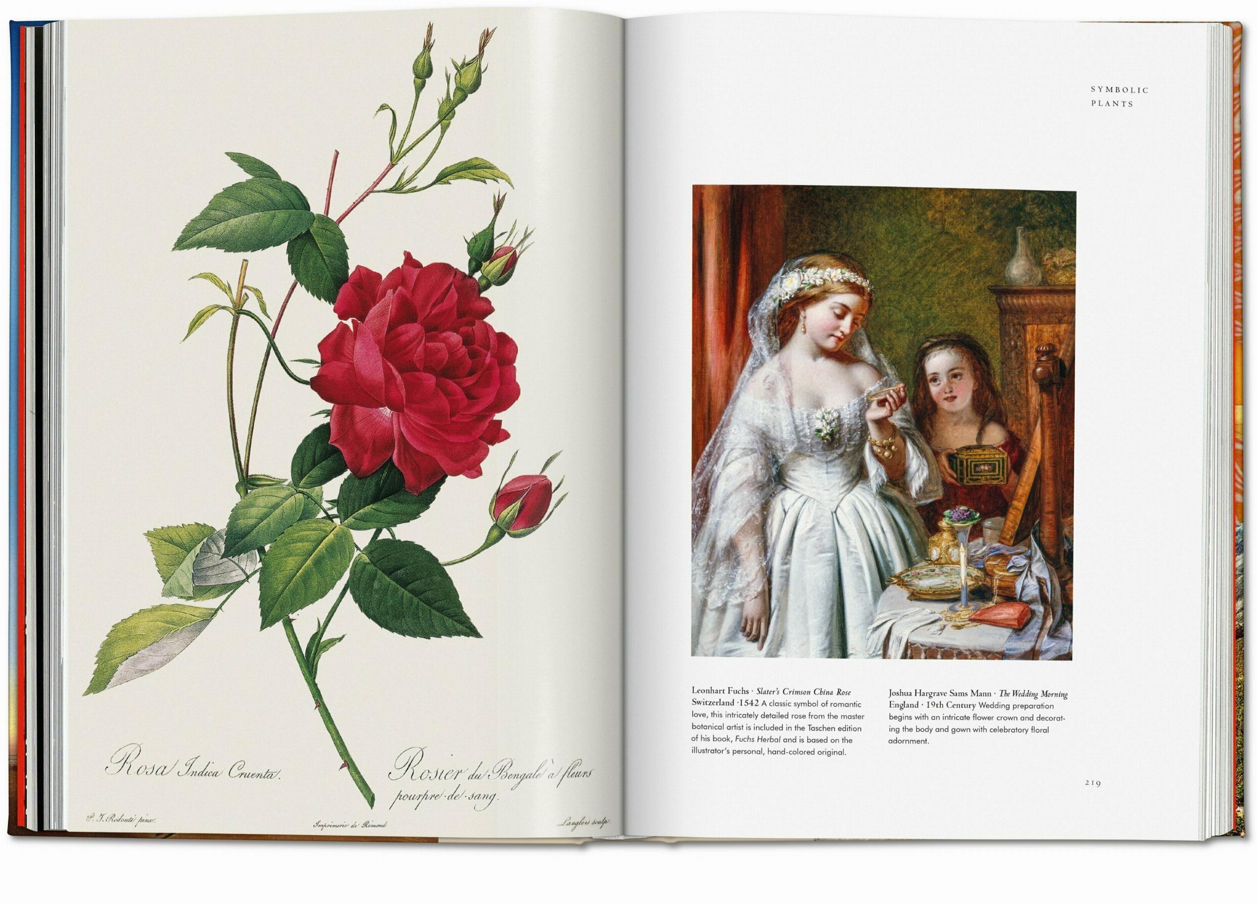 Beispielinhalt (Bild) Plant Magick. The Library of Esoterica