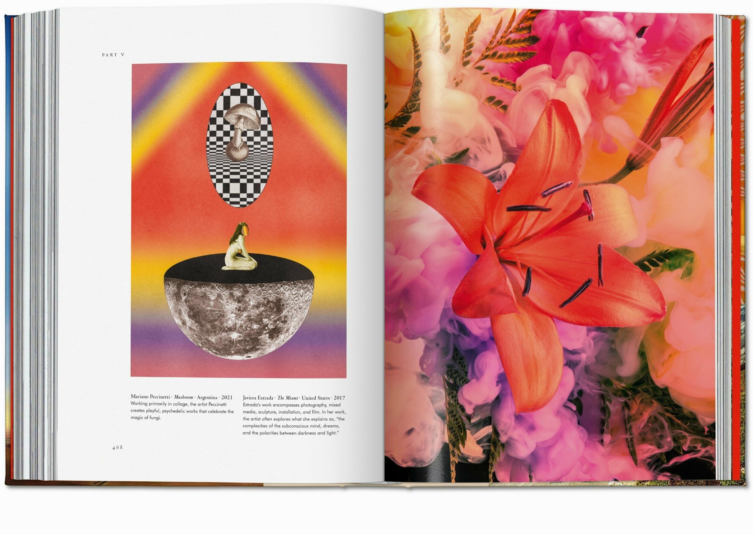 Beispielinhalt (Bild) Plant Magick. The Library of Esoterica