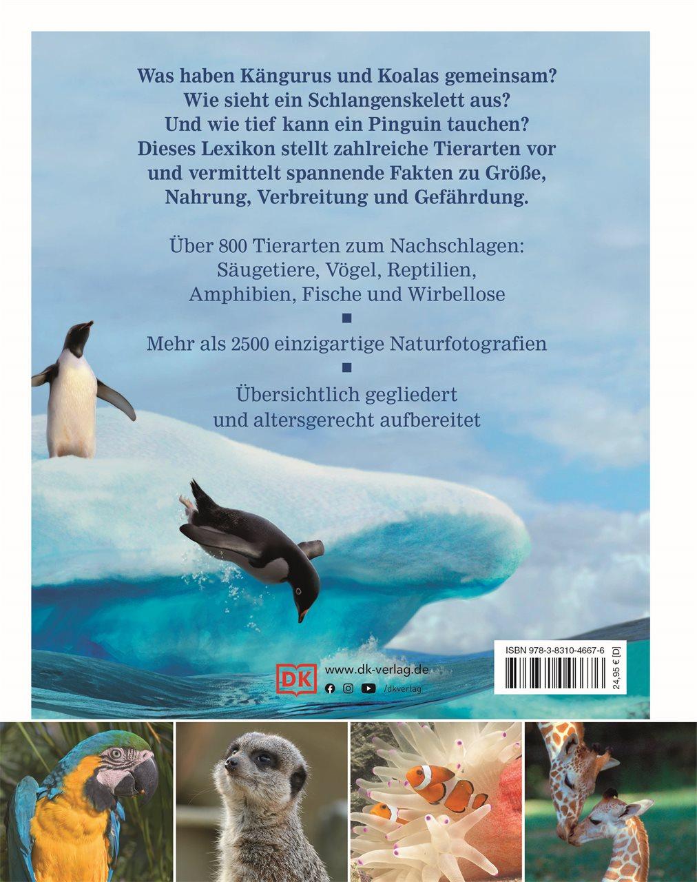 Rückseitencover Wissen für clevere Kids. Tiere für clevere Kids