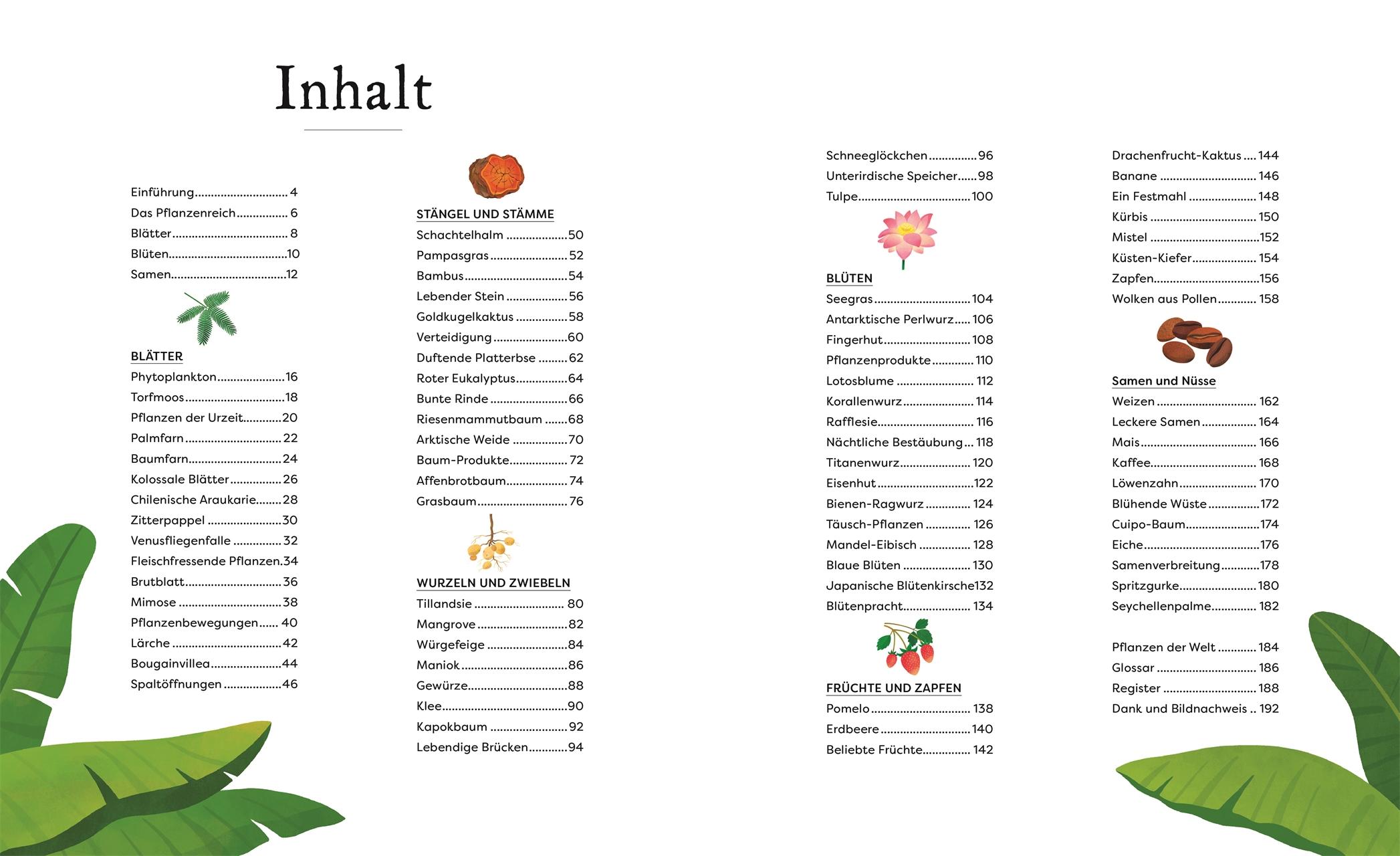 Beispielinhalt (Bild) Große und kleine Schätze der Natur. Pflanzen