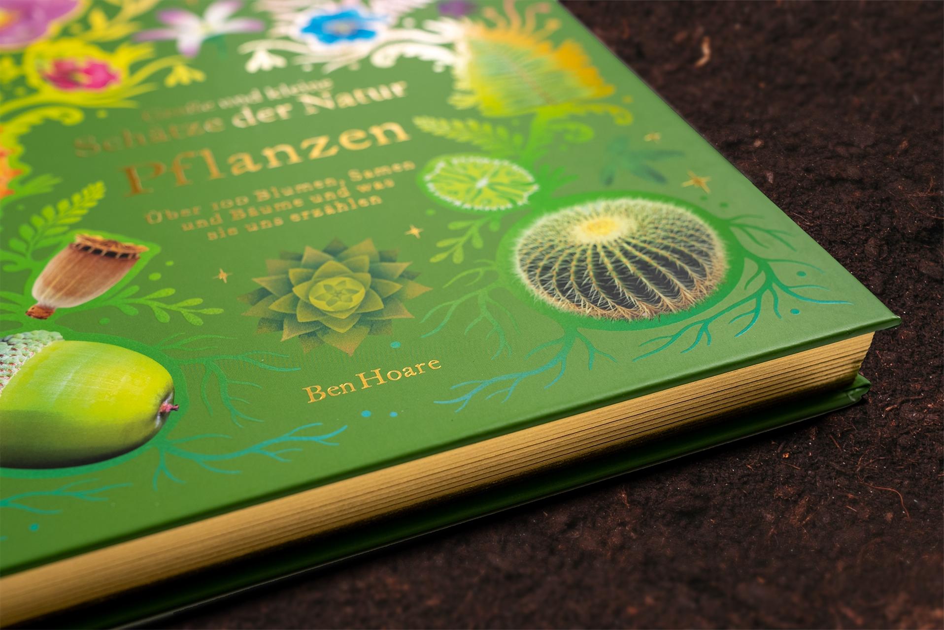 Beispielinhalt (Bild) Große und kleine Schätze der Natur. Pflanzen