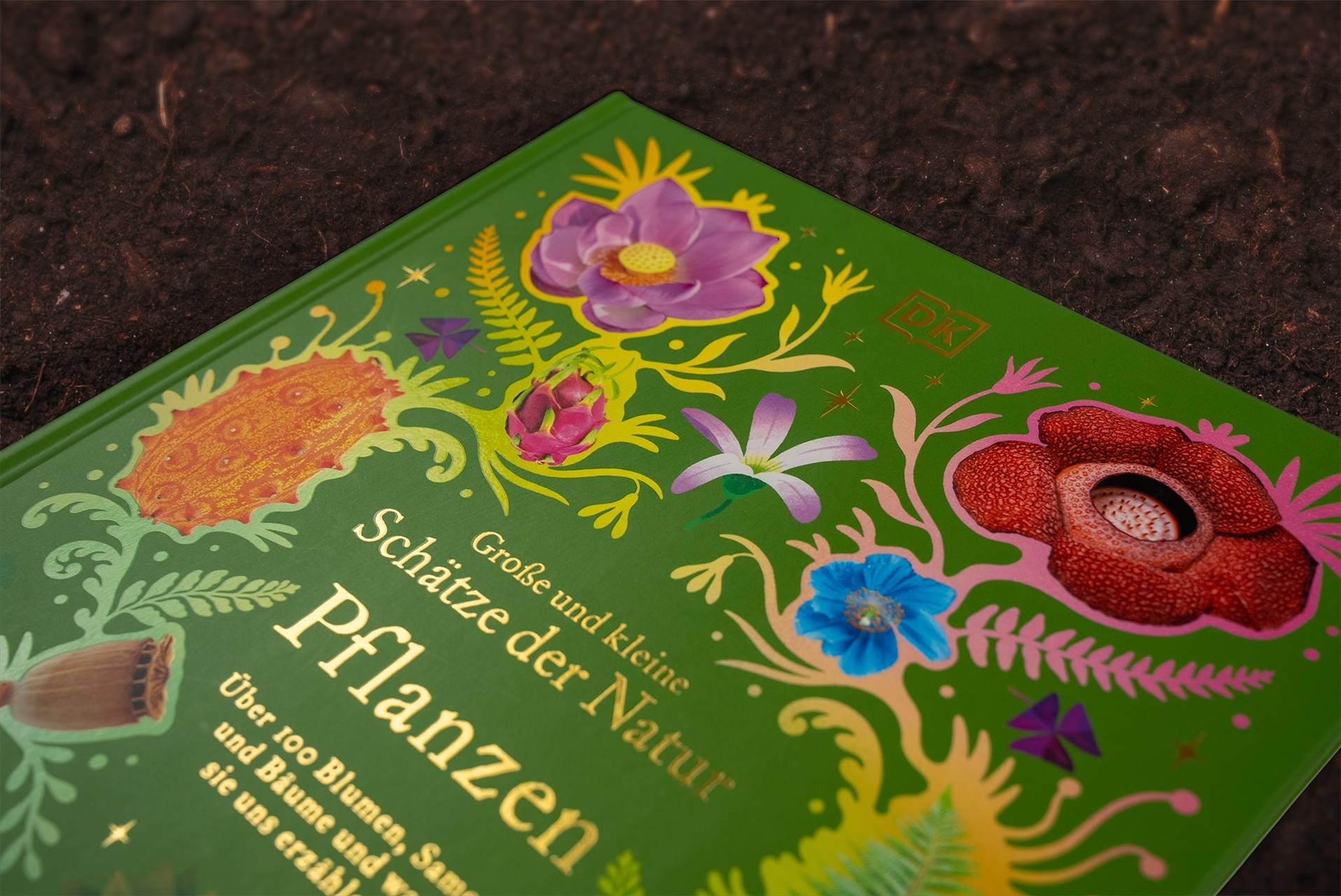 Beispielinhalt (Bild) Große und kleine Schätze der Natur. Pflanzen