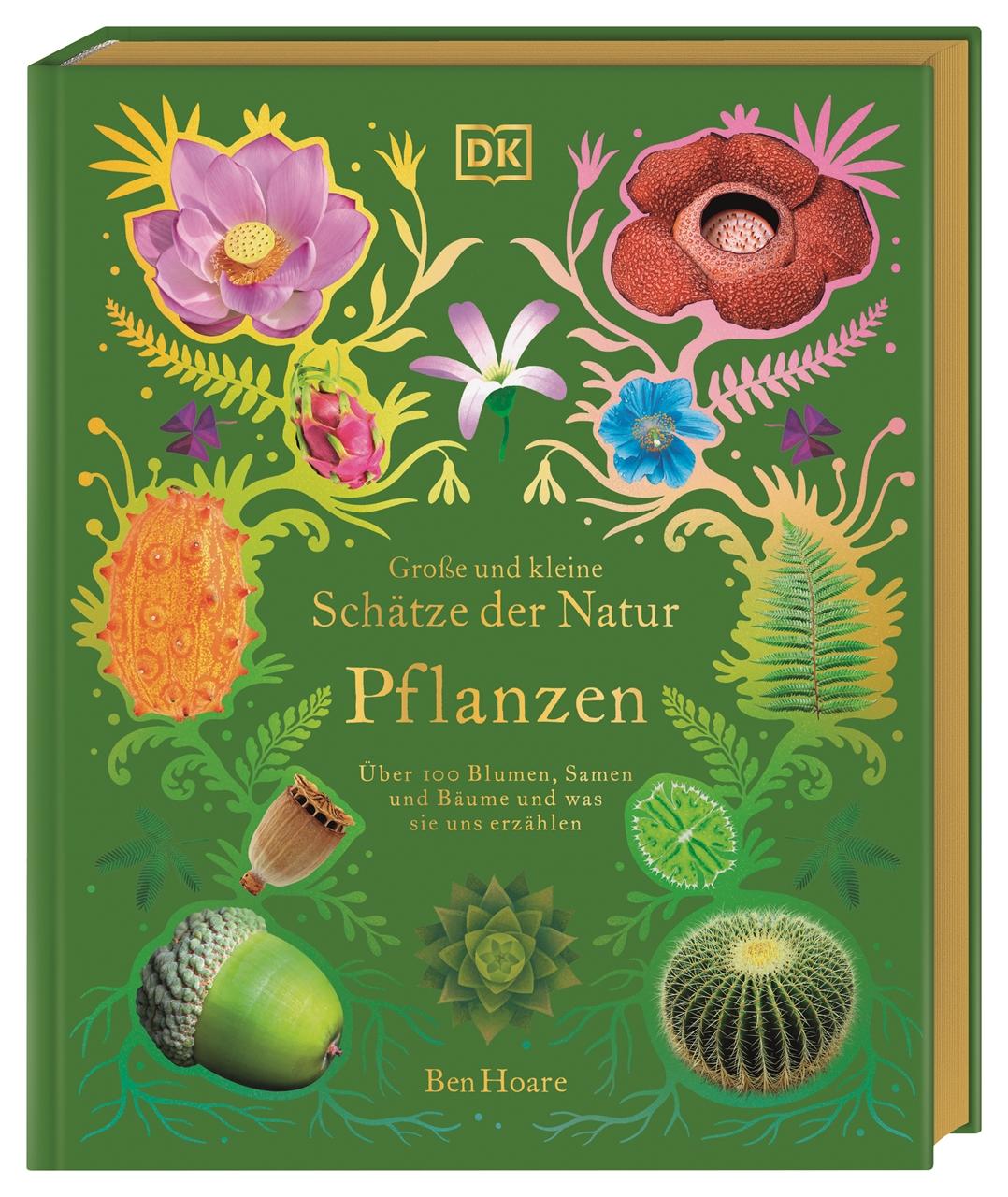 Vorderes Coverbild Große und kleine Schätze der Natur. Pflanzen
