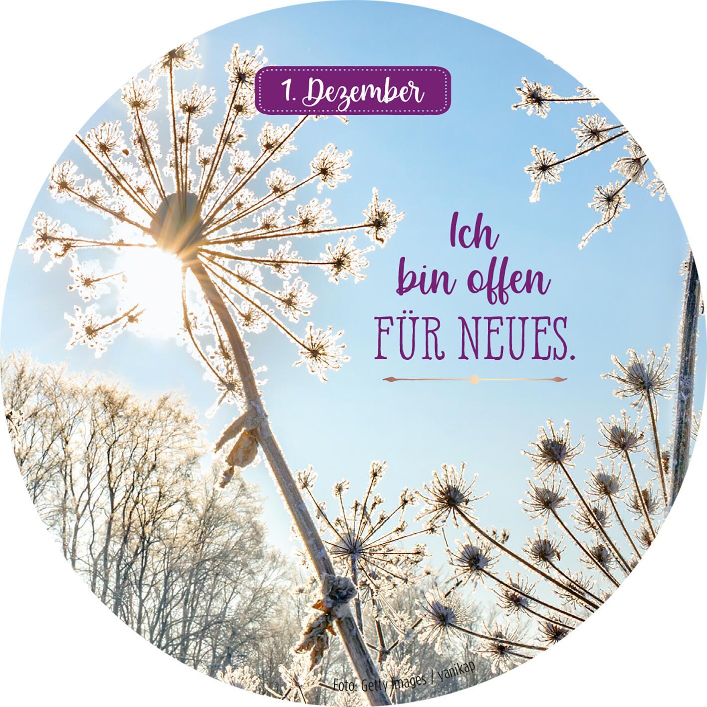 Beispielinhalt (Bild) Adventskalender in der Dose. 24 Dankbarkeitsmantras für den Advent
