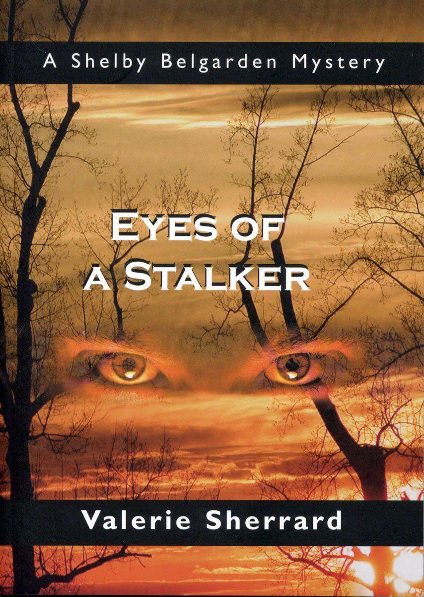 Vorderes Coverbild Eyes of a Stalker