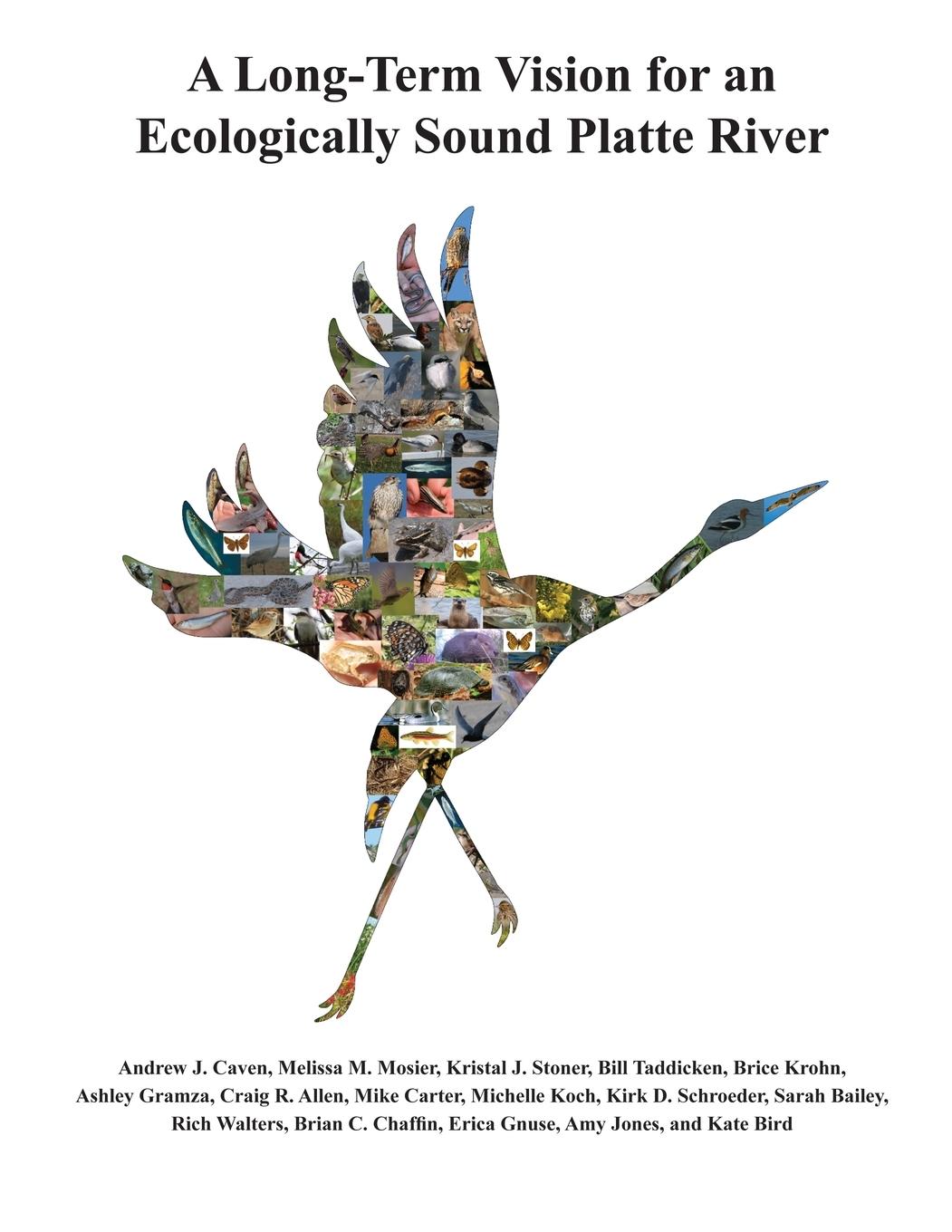 Vorderes Coverbild A Long-Term Vision for an  Ecologically Sound Platte River