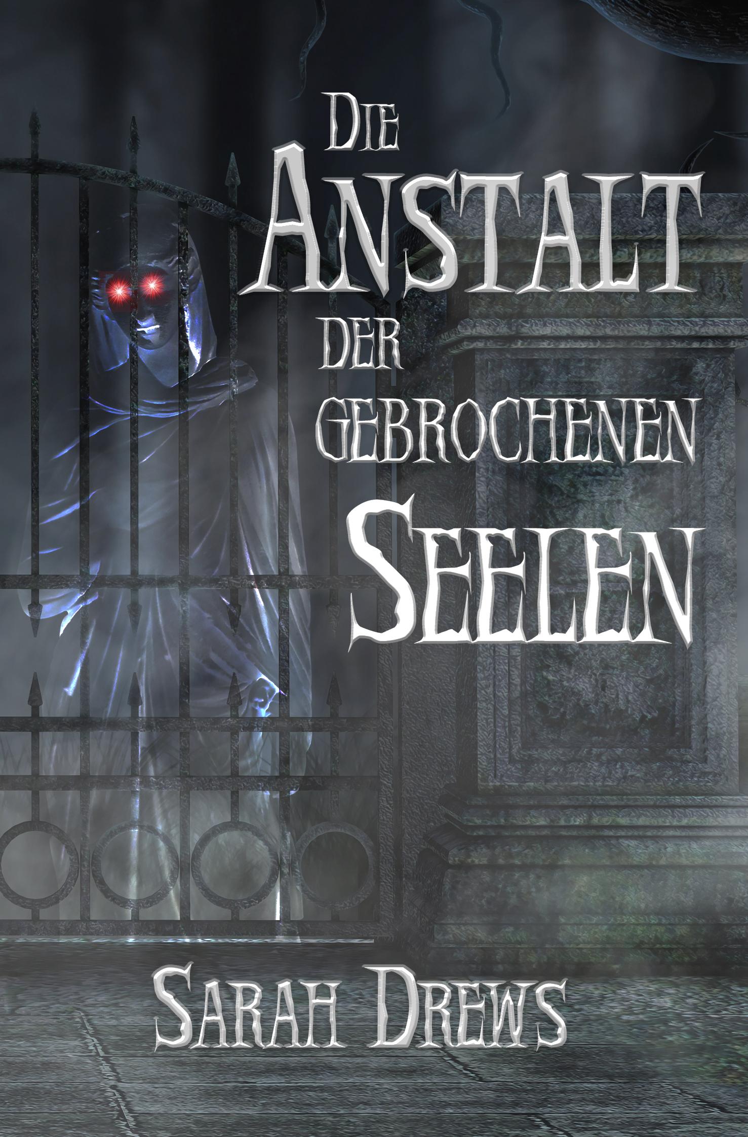 Vorderes Coverbild Die Anstalt der gebrochenen Seelen
