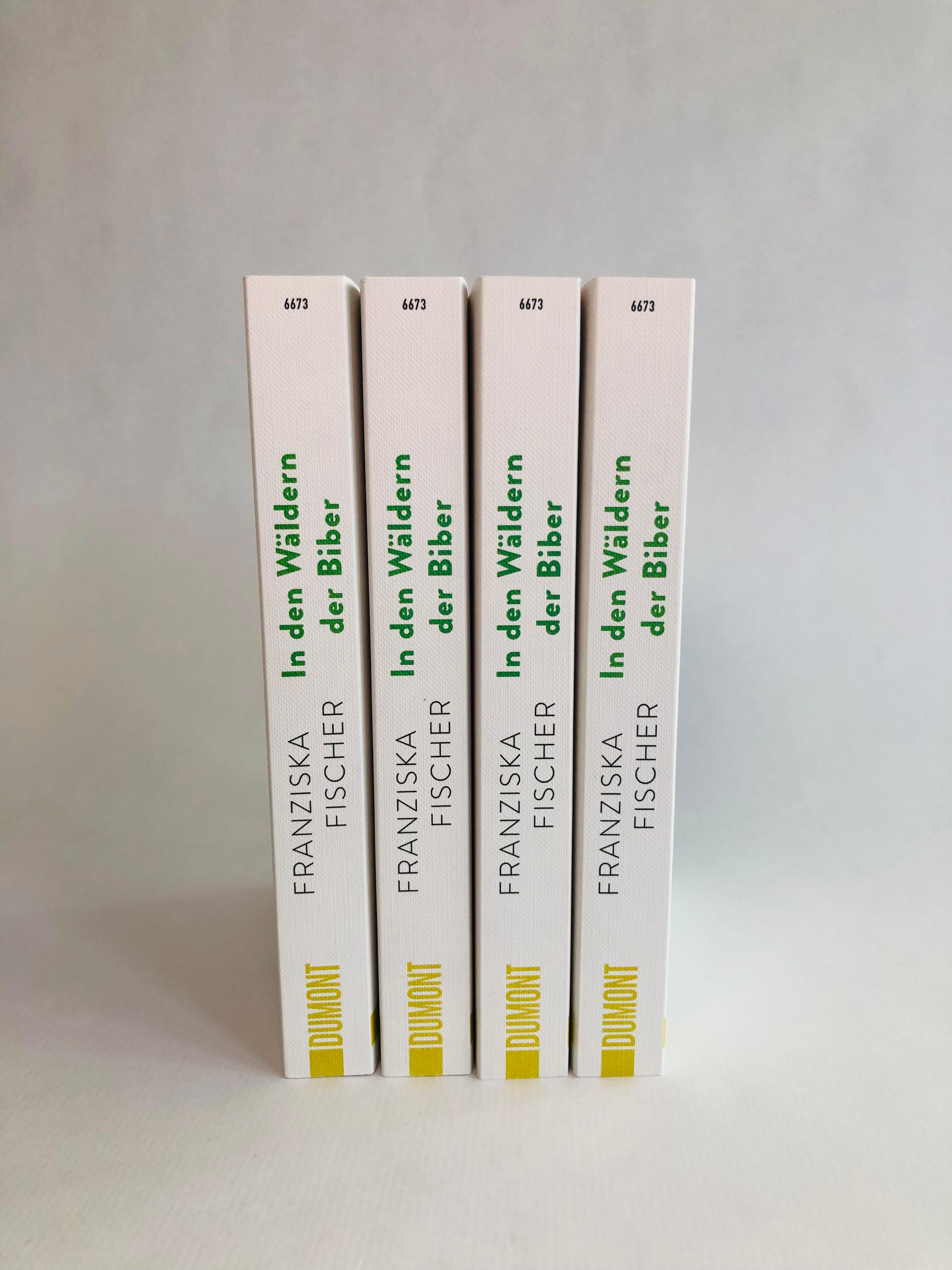 Beispielinhalt (Bild) In den Wäldern der Biber