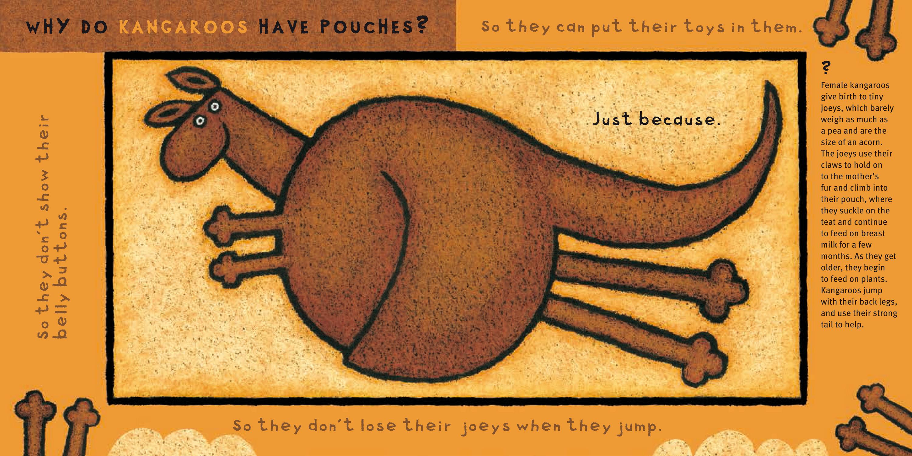 Beispielinhalt (Bild) Warum?