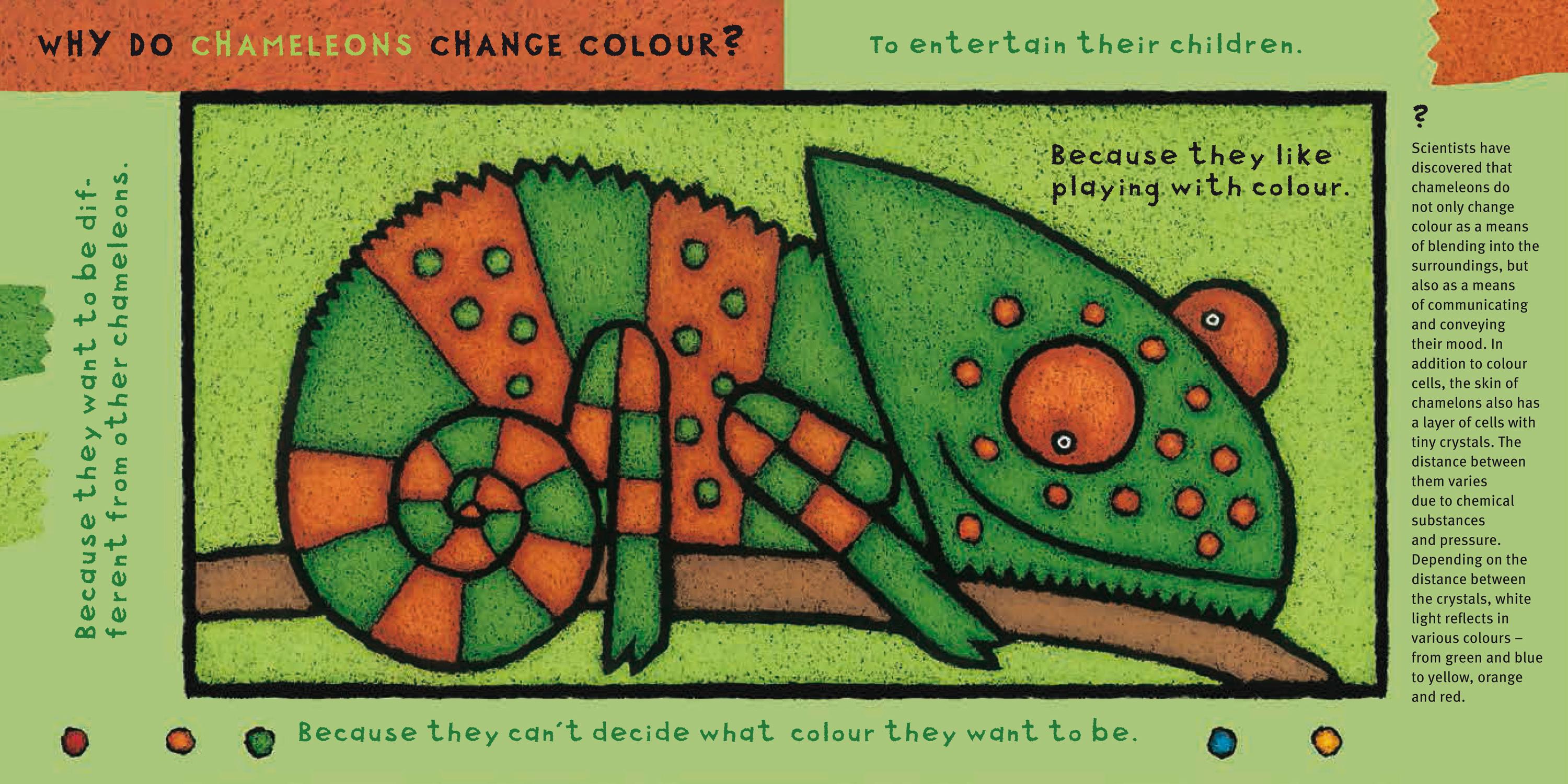 Beispielinhalt (Bild) Warum?